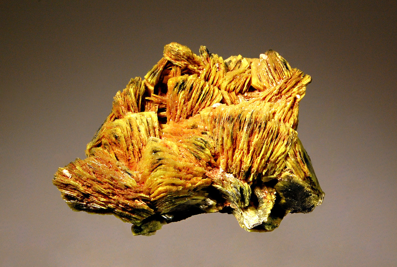 Meta-autunite
3.5 x 5.1 cm
(Autor: Michael Shaw)