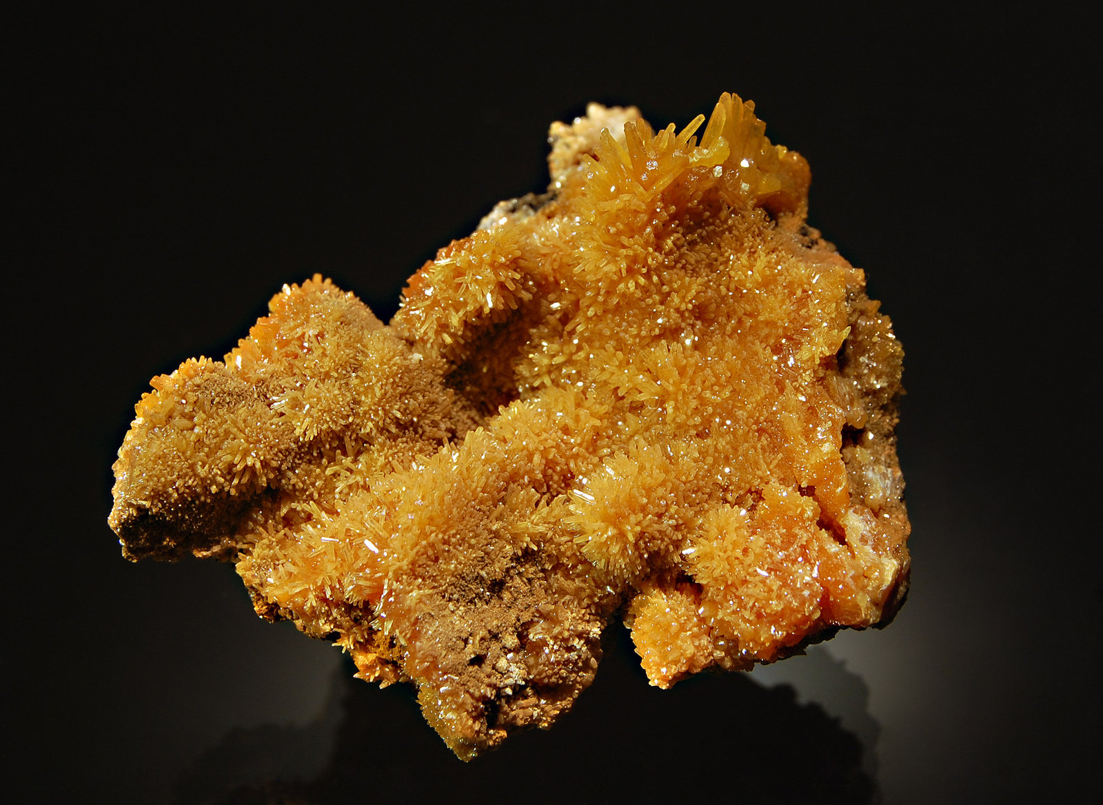 Pyromorphite
4.0 x 5.0 cm
(Autor: Michael Shaw)