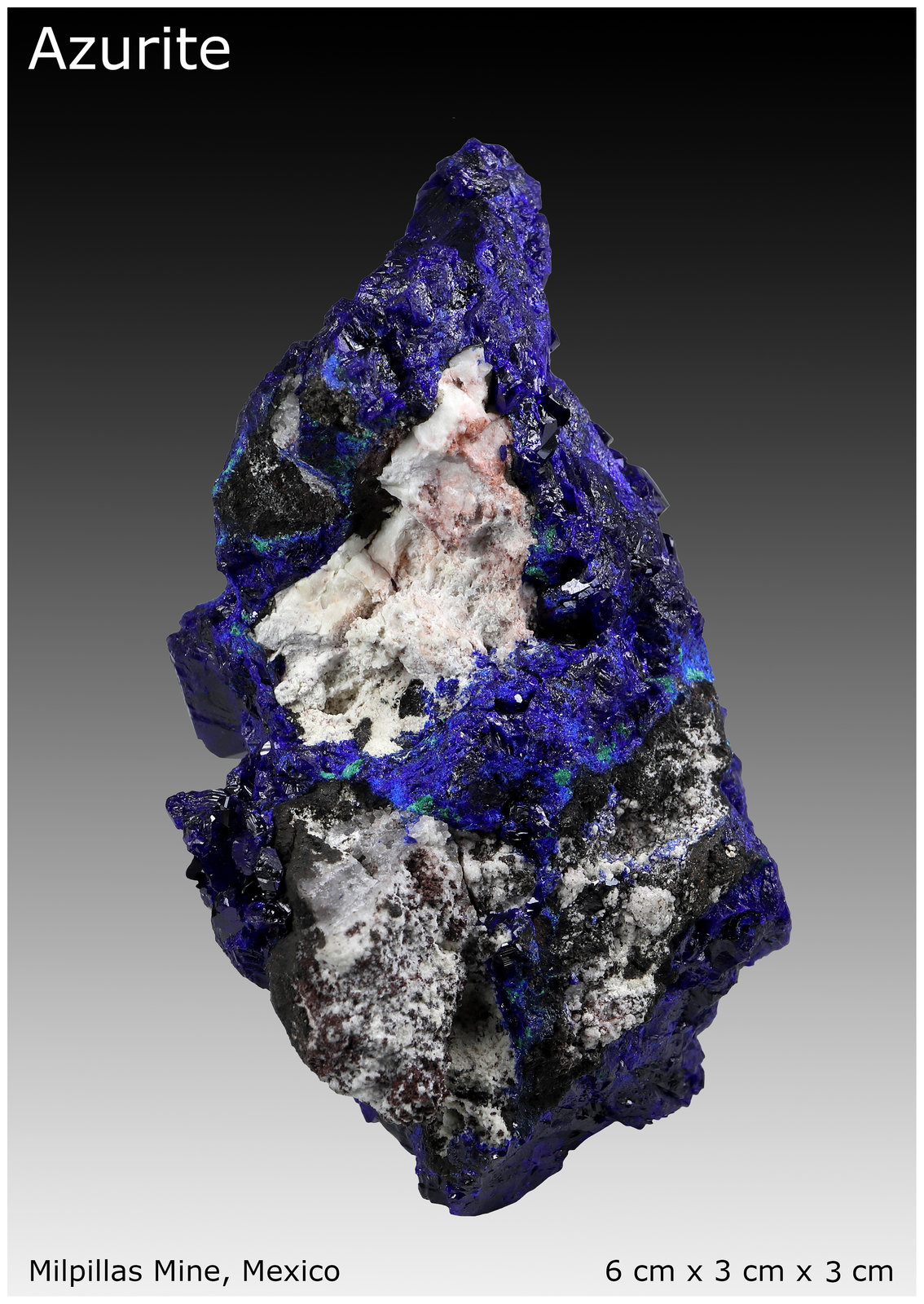 Azurite
6 cm x 3 cm x 3 cm
(Autor: silvia)