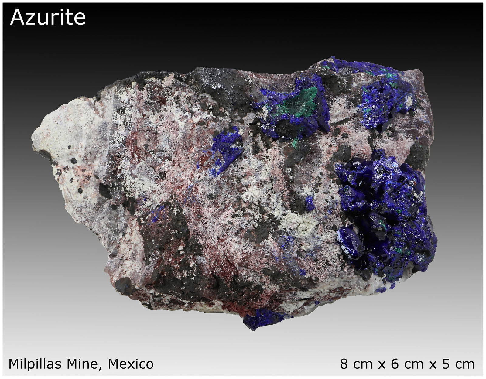 Azurite
8 cm x 6 cm x 5 cm
(Autor: silvia)