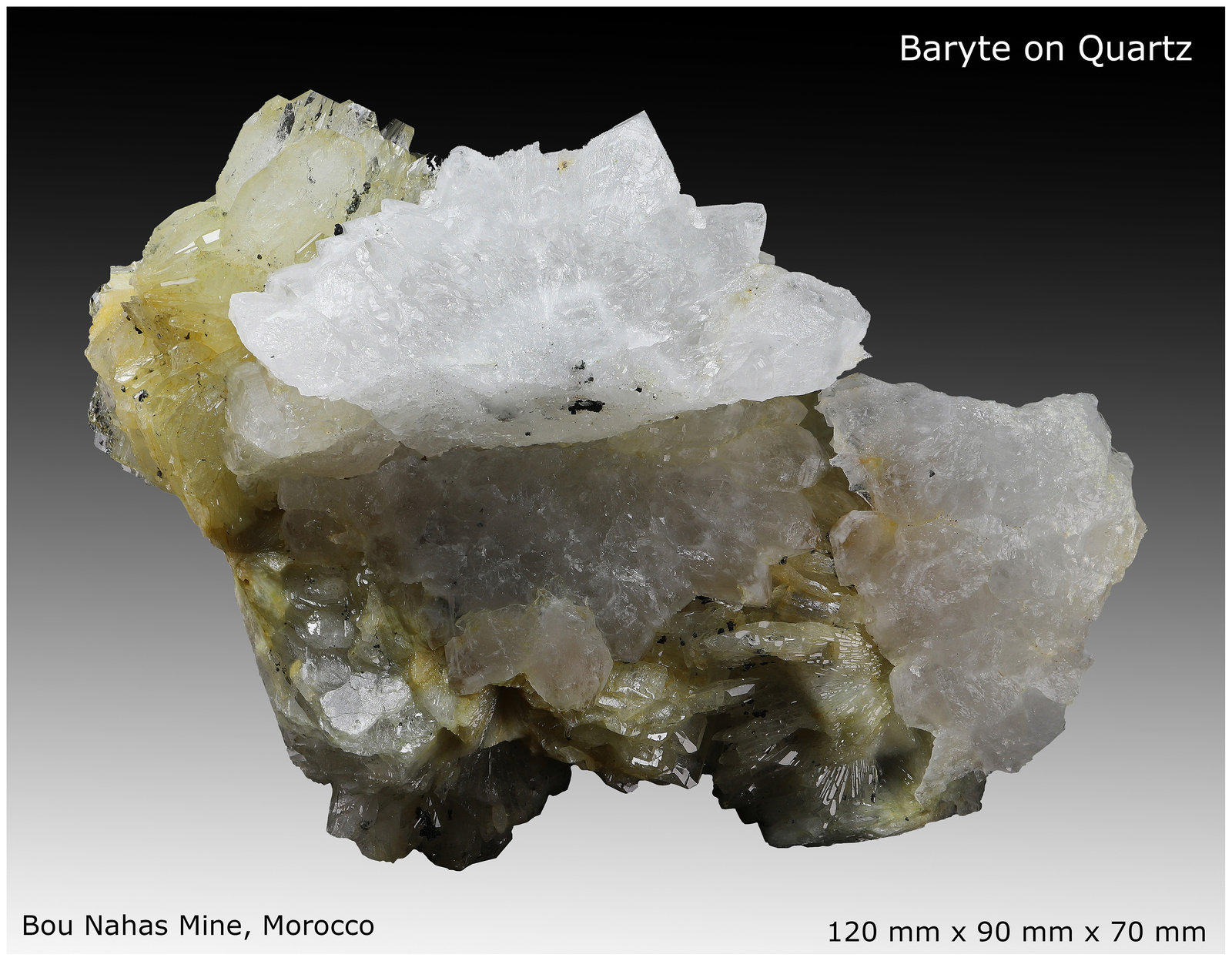 Baryte, Quartz, Pyrite
120 mm x 90 mm x 70 mm
(Autor: silvia)