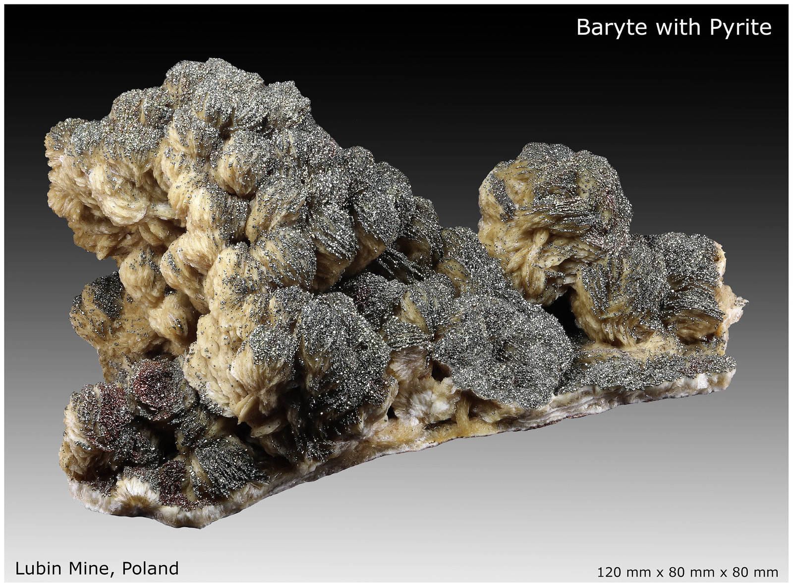 Baryte with Pyrite
120 mm x 80 mm x 80 mm
(Autor: silvia)
