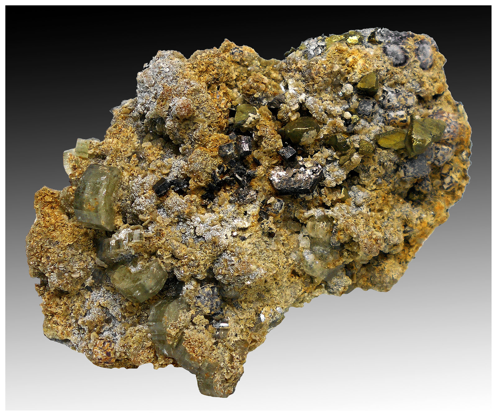 Cassiterite, Arsenopyrite, Fluorapatite, Chalcopyrite, Muscovite
11 cm x  6 cm x 3 cm
(Autor: silvia)