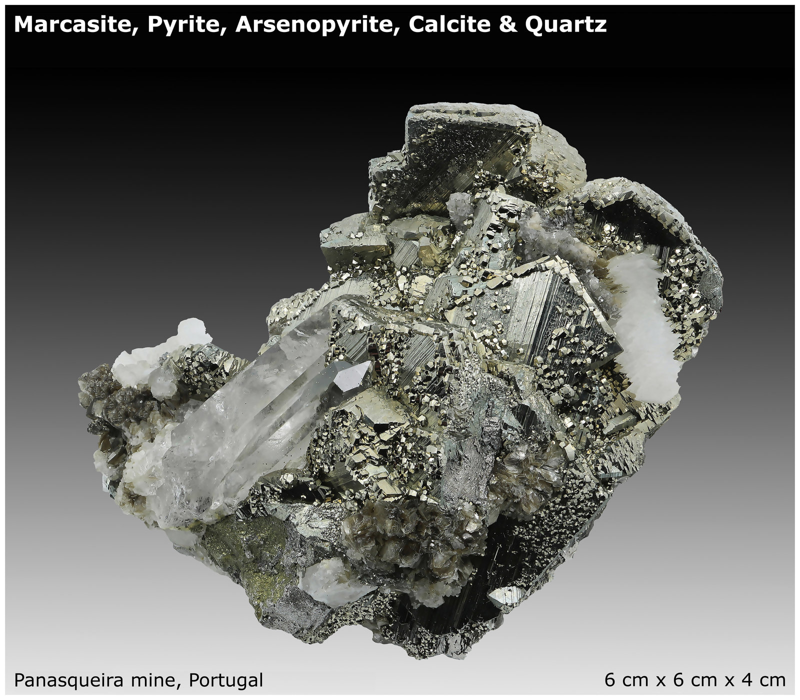 Marcasite, Pyrite, Arsenopyrite, Calcite & Quartz
6 cm x 6 cm x 4 cm
(Autor: silvia)