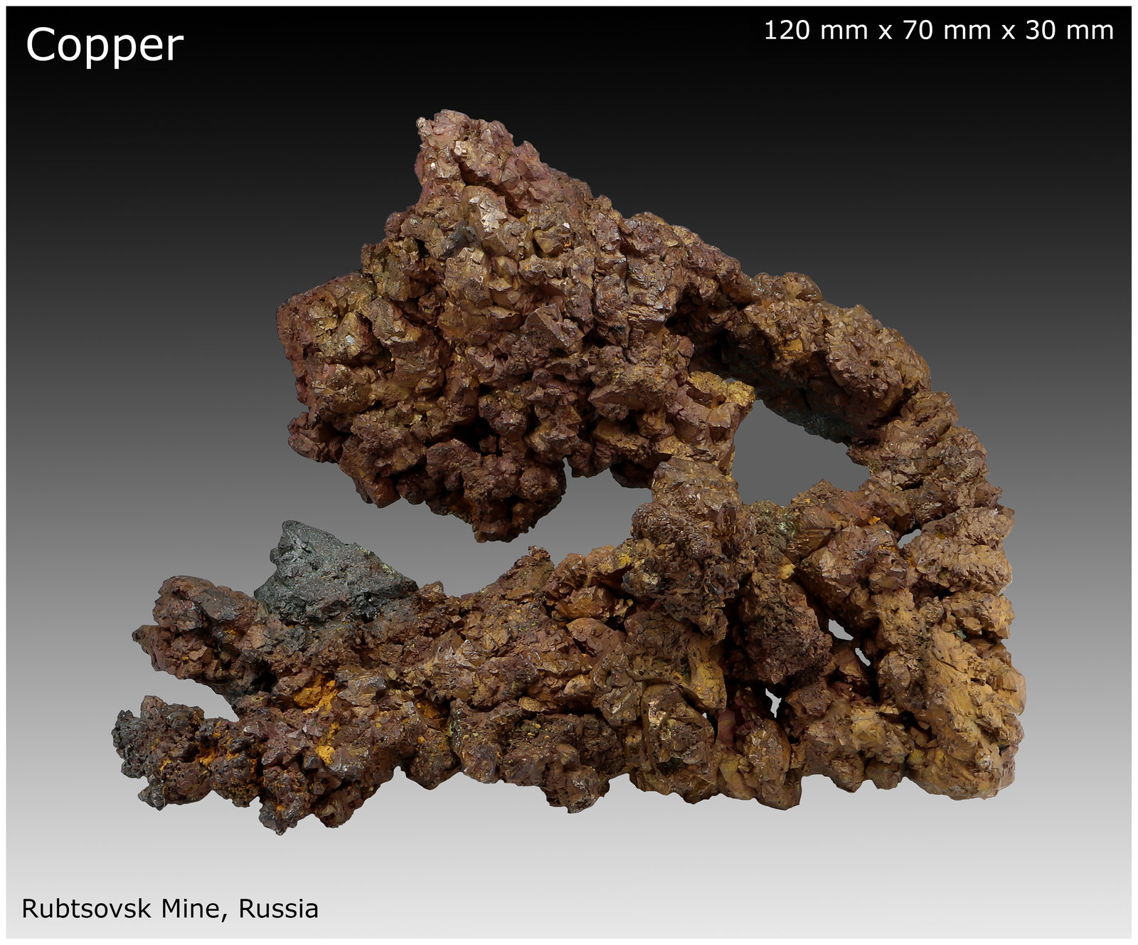 Copper
120 mm x 70 mm x 30 mm
(Autor: silvia)