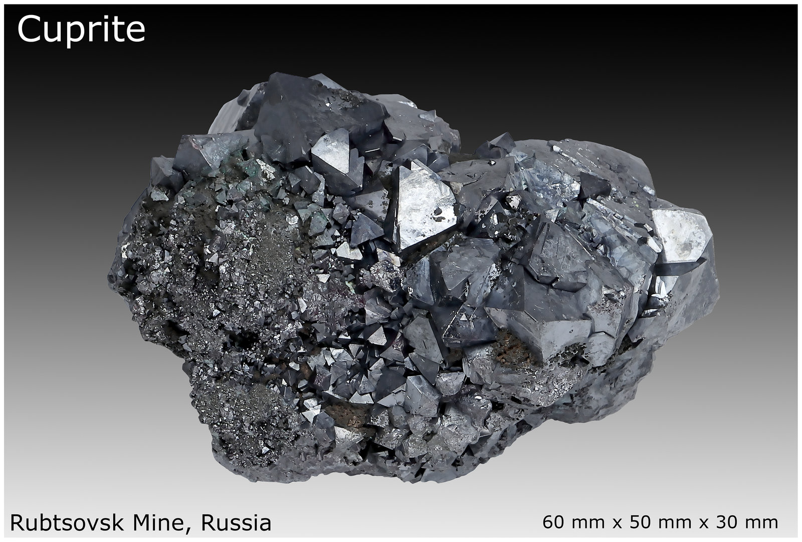 Cuprite
60 mm x 50 mm x 30 mm
(Autor: silvia)