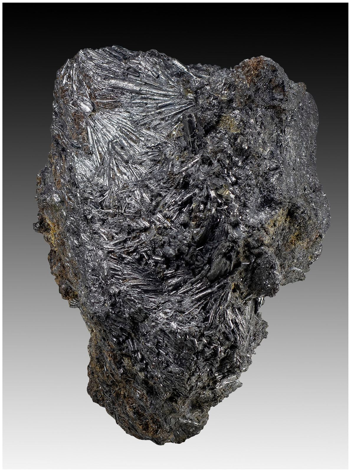 Cylindrite
90 mm x 70 mm x 60 mm
(Autor: silvia)