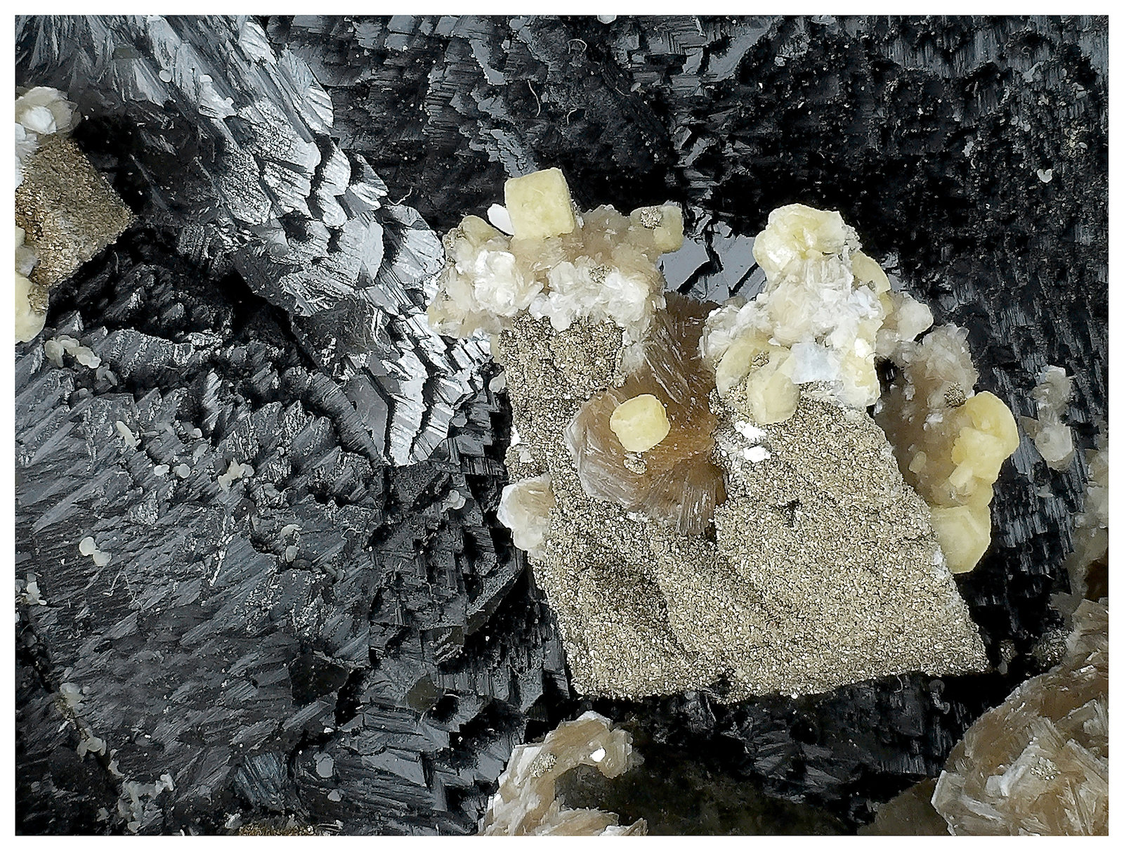 Fluorapatite, Sphalerite, Quartz, Muscovite, Siderite
14 cm x 12 cm x 7 cm
(Autor: silvia)