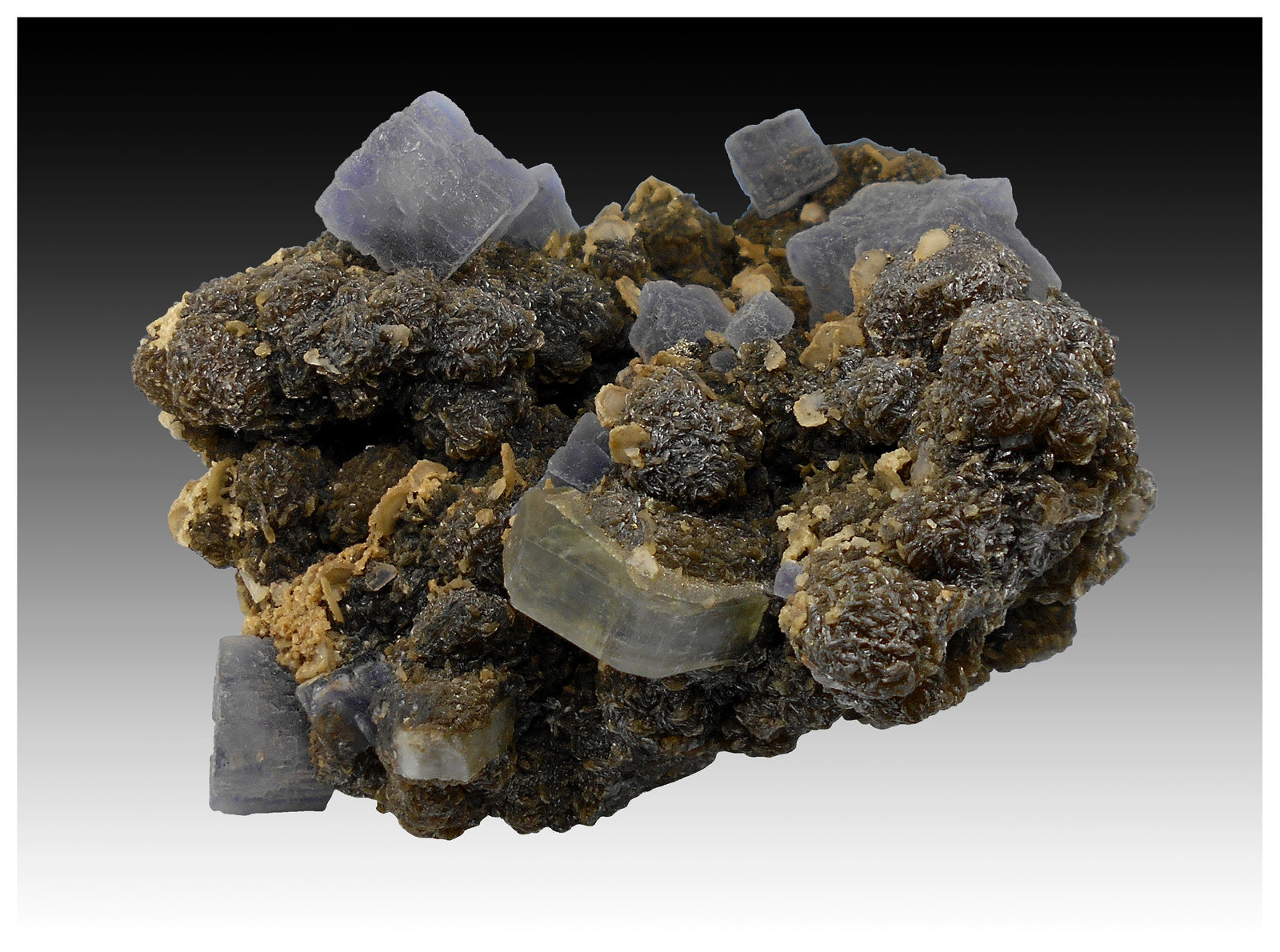 Fluorite, Fluorapatite, Siderite, Muscovite and Pyrite
9 cm x 8 cm x 6 cm
(Autor: silvia)