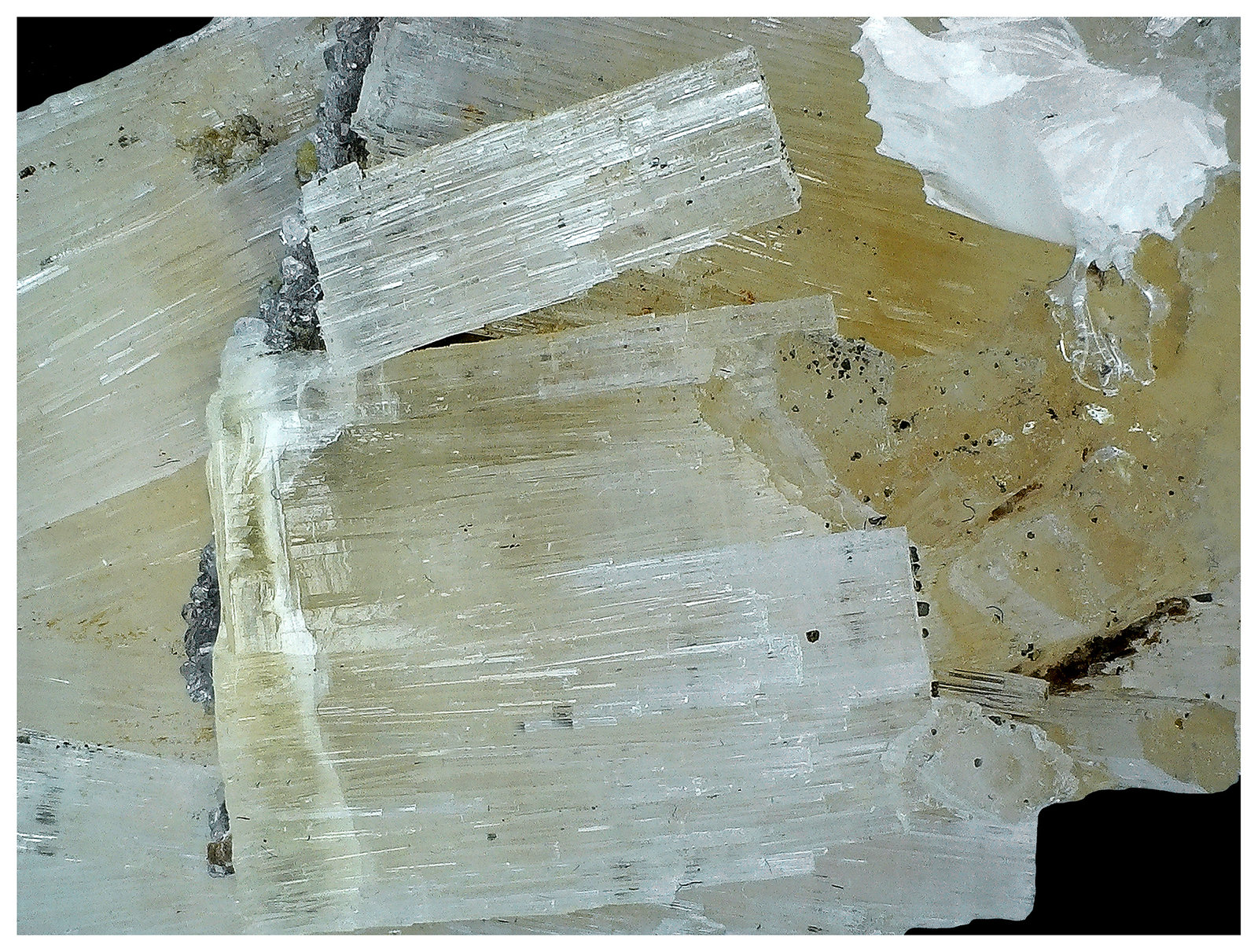 Fluorapatite, Topaz, Goyazite, Muscovite
4 cm x 3 cm x 3 cm
(Autor: silvia)