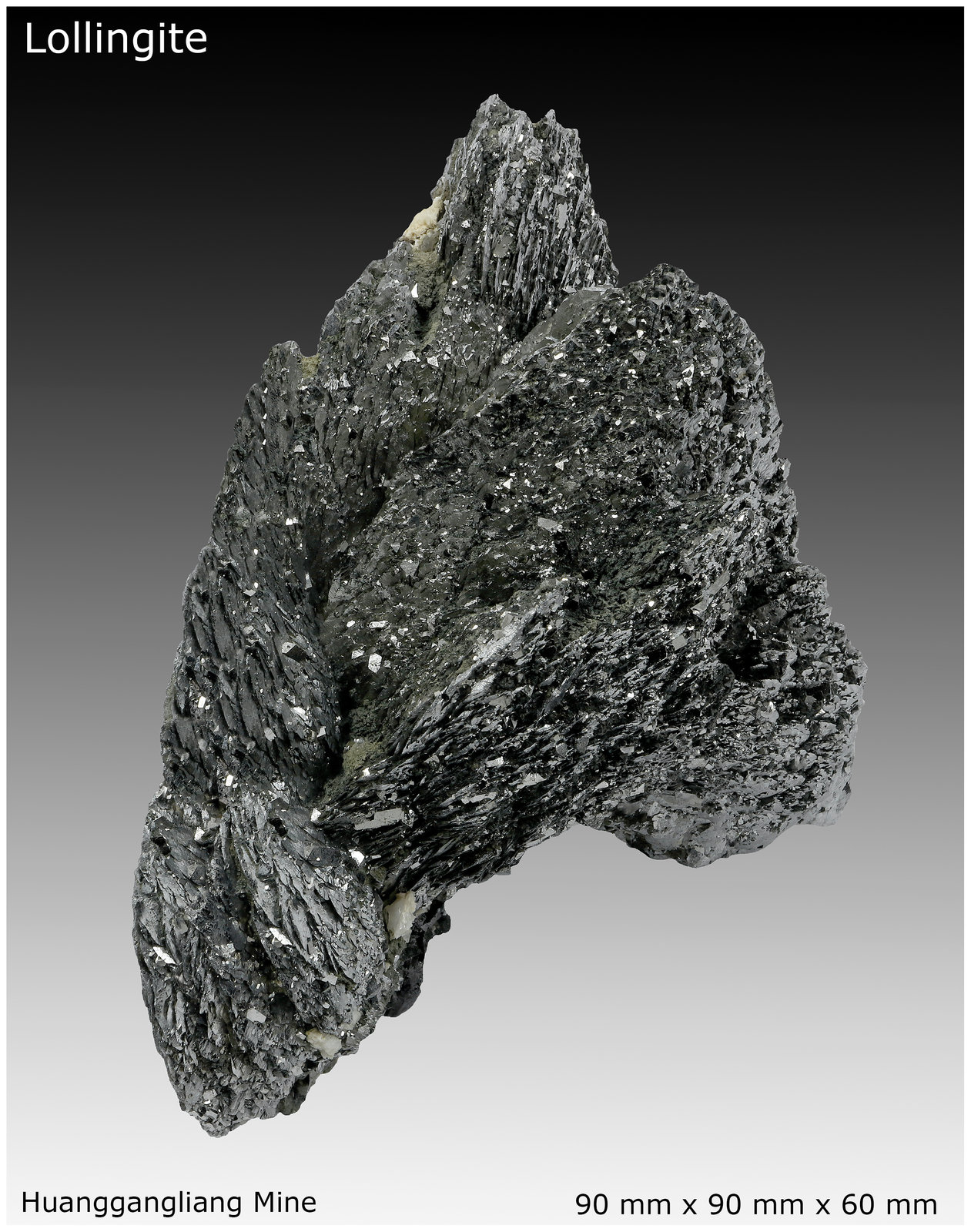 Lollingite, Arsenopyrite, Dolomite, Calcite, Magnetite and Fluorite.
90 mm x 90 mm x 60 mm
(Autor: silvia)