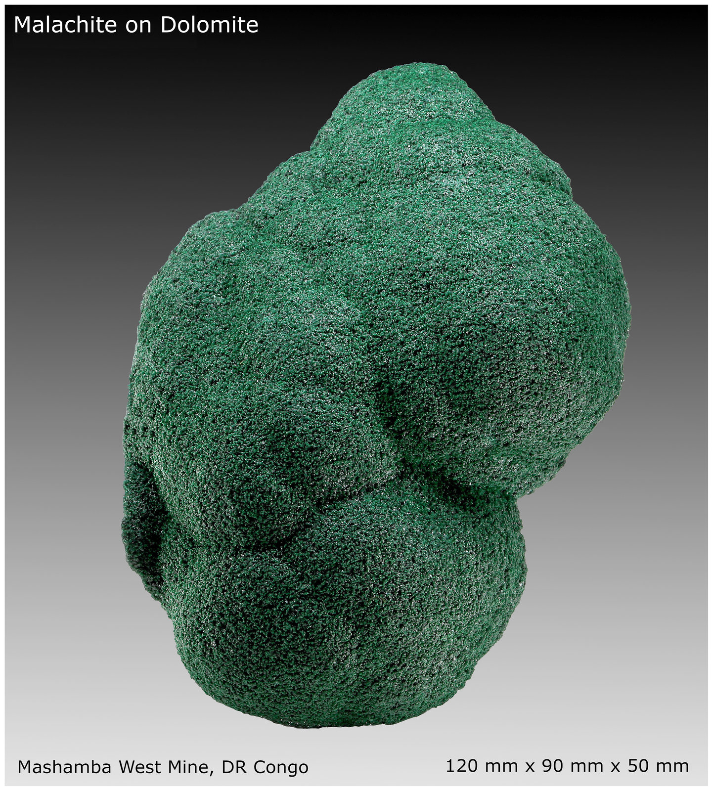 Malachite on Dolomite
120 mm x 90 mm x 50 mm
(Autor: silvia)