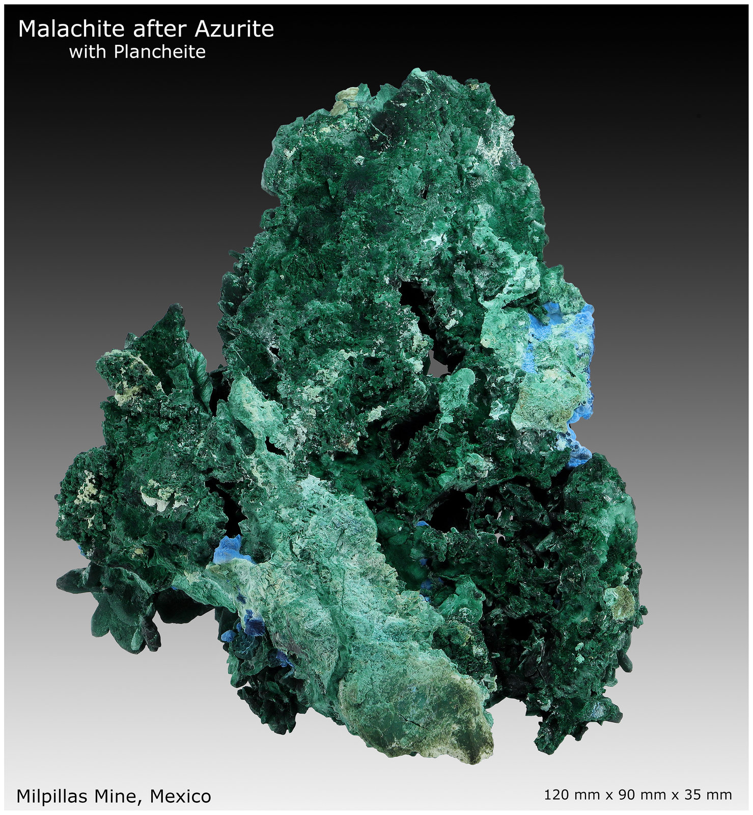 Malachite, Plancheite
120 mm x 90 mm x 45 mm
(Autor: silvia)