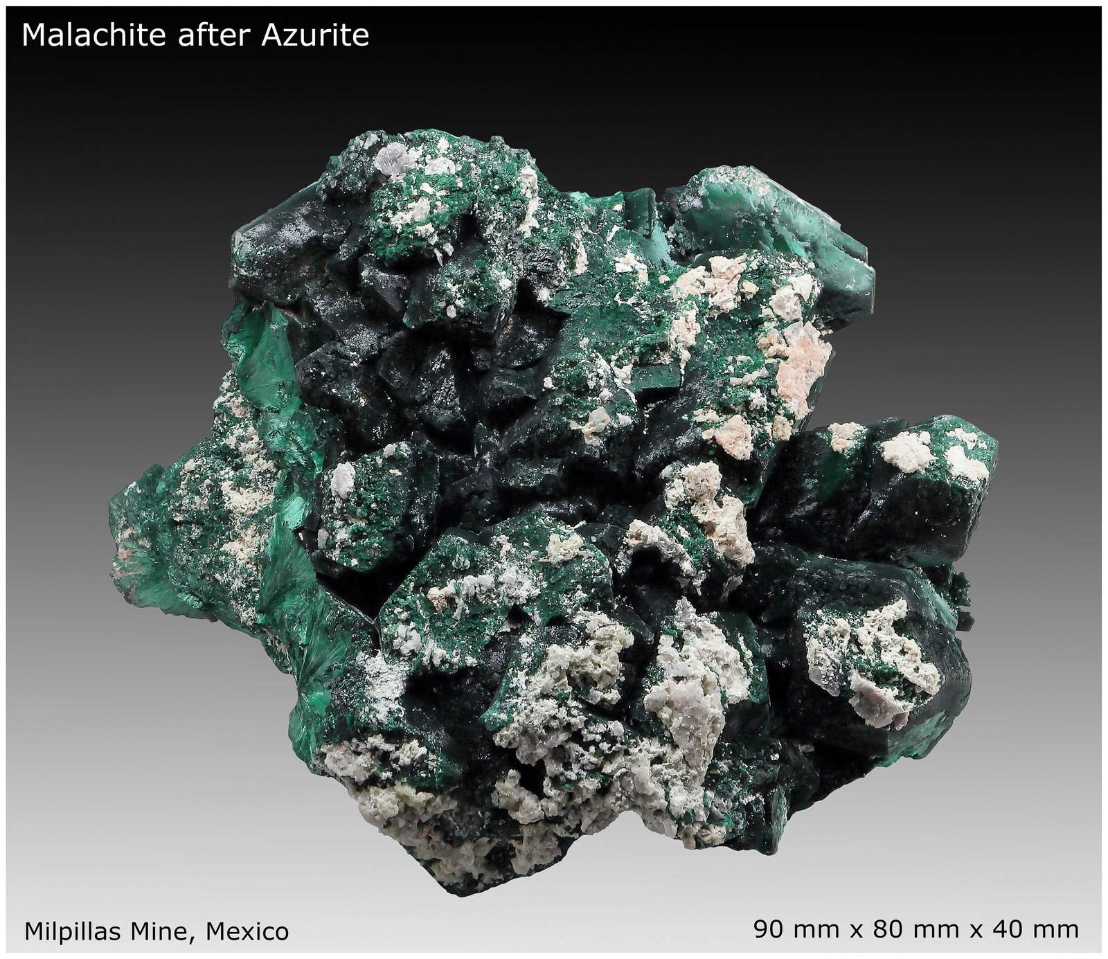 Malachite after Azurite
90 mm x 80 mm x 40 mm
(Autor: silvia)