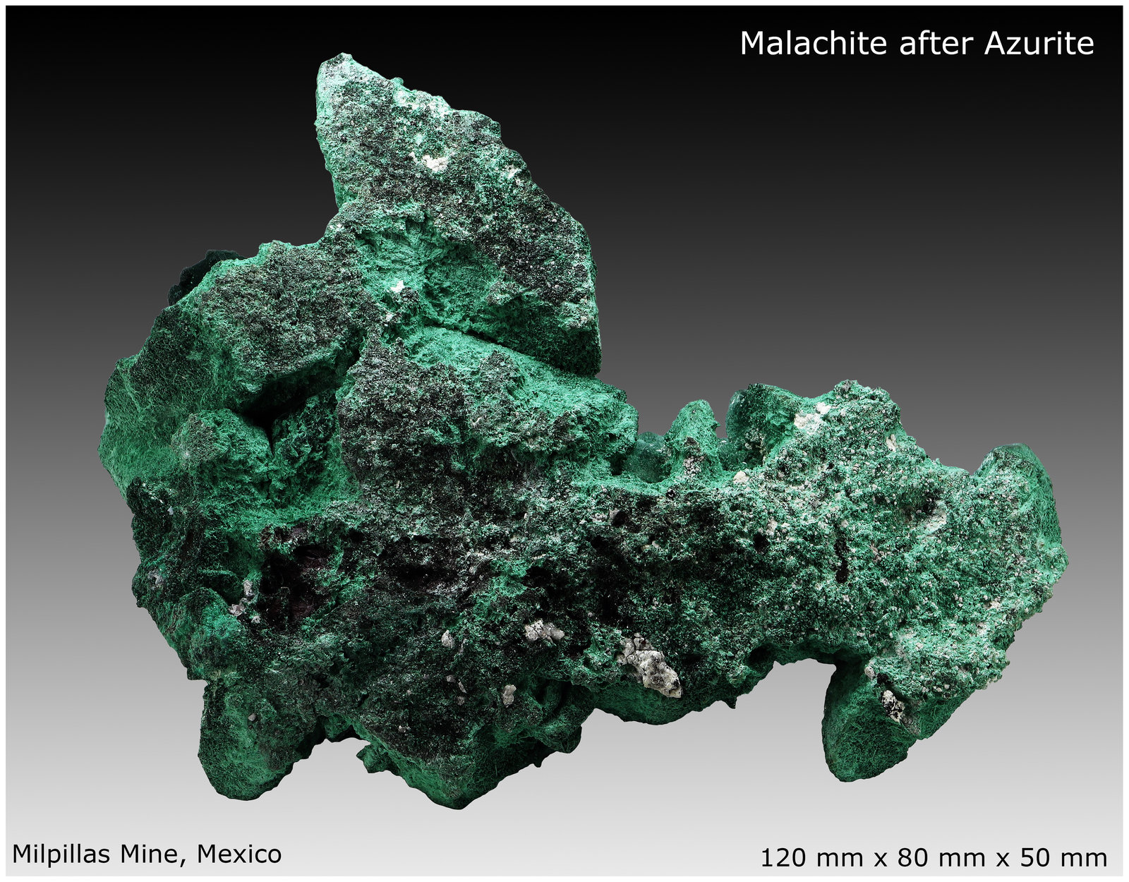 Malachite
120 mm x 80 mm x 50 mm
(Autor: silvia)