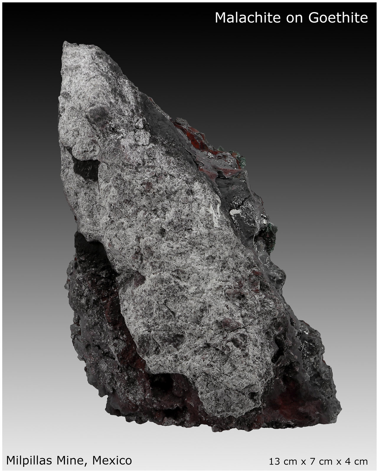 Malachite after Azurite on Goethite
13 cm x 7 cm x 4 cm
(Autor: silvia)