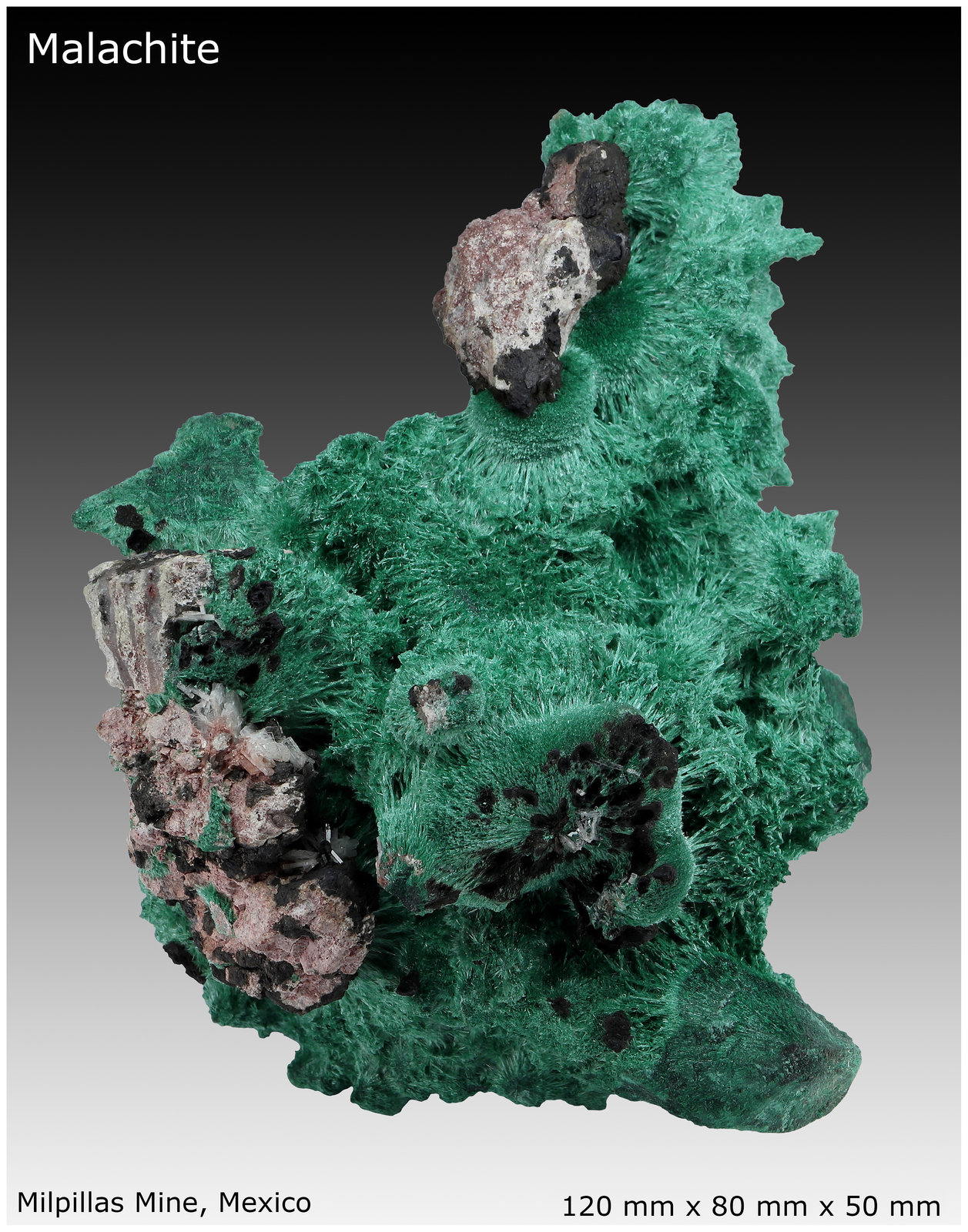 Malachite with Baryte
120 mm x 80 mm x 50 mm
(Autor: silvia)
