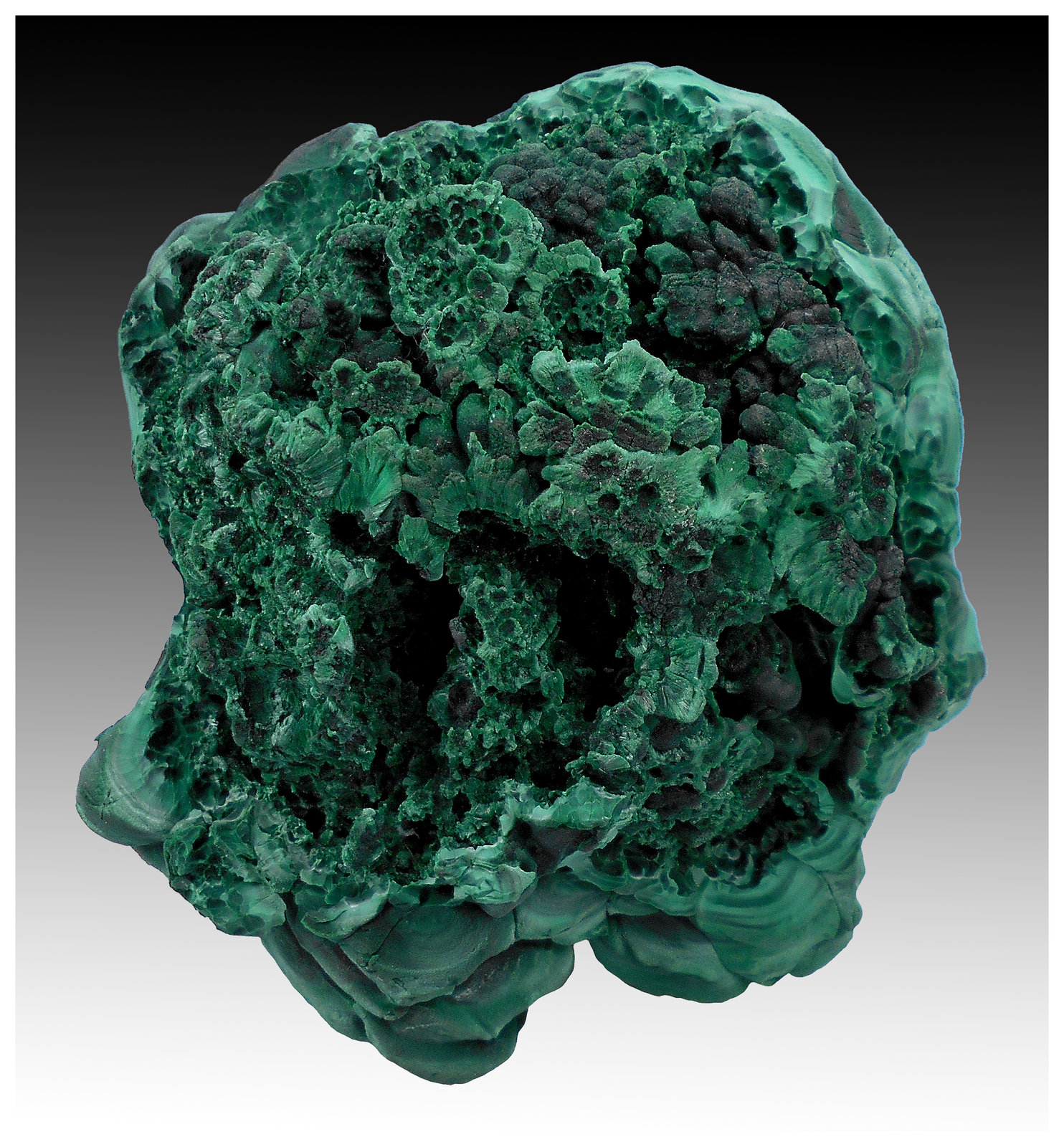 Malachite
11 cm x 10 cm x 6 cm
(Autor: silvia)