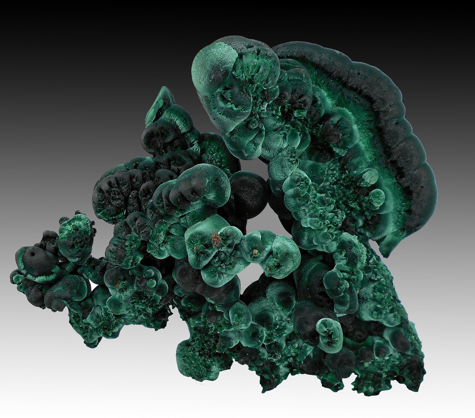 Malachite
15 cm x 12 cm x 5 cm
(Autor: silvia)