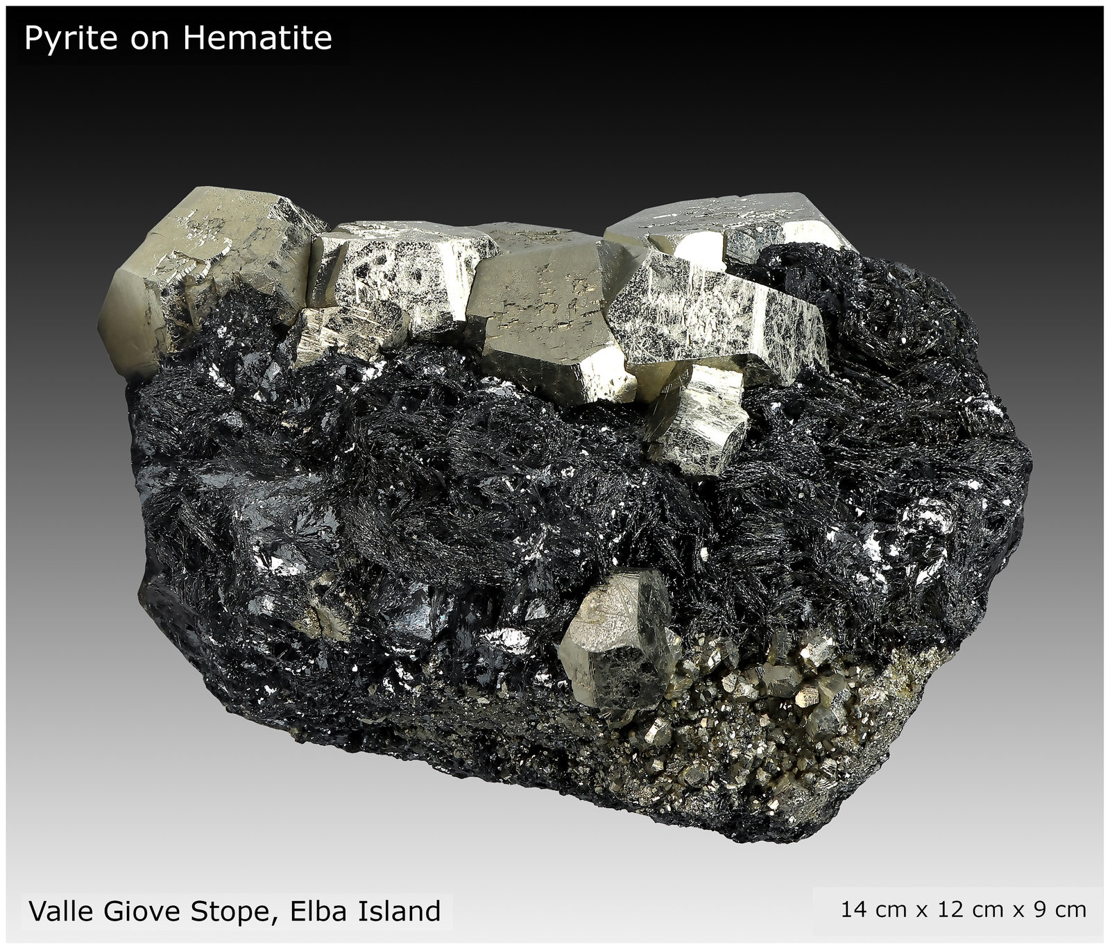Pyrite on Hematite
14 cm x 12 cm x 9 cm
(Autor: silvia)