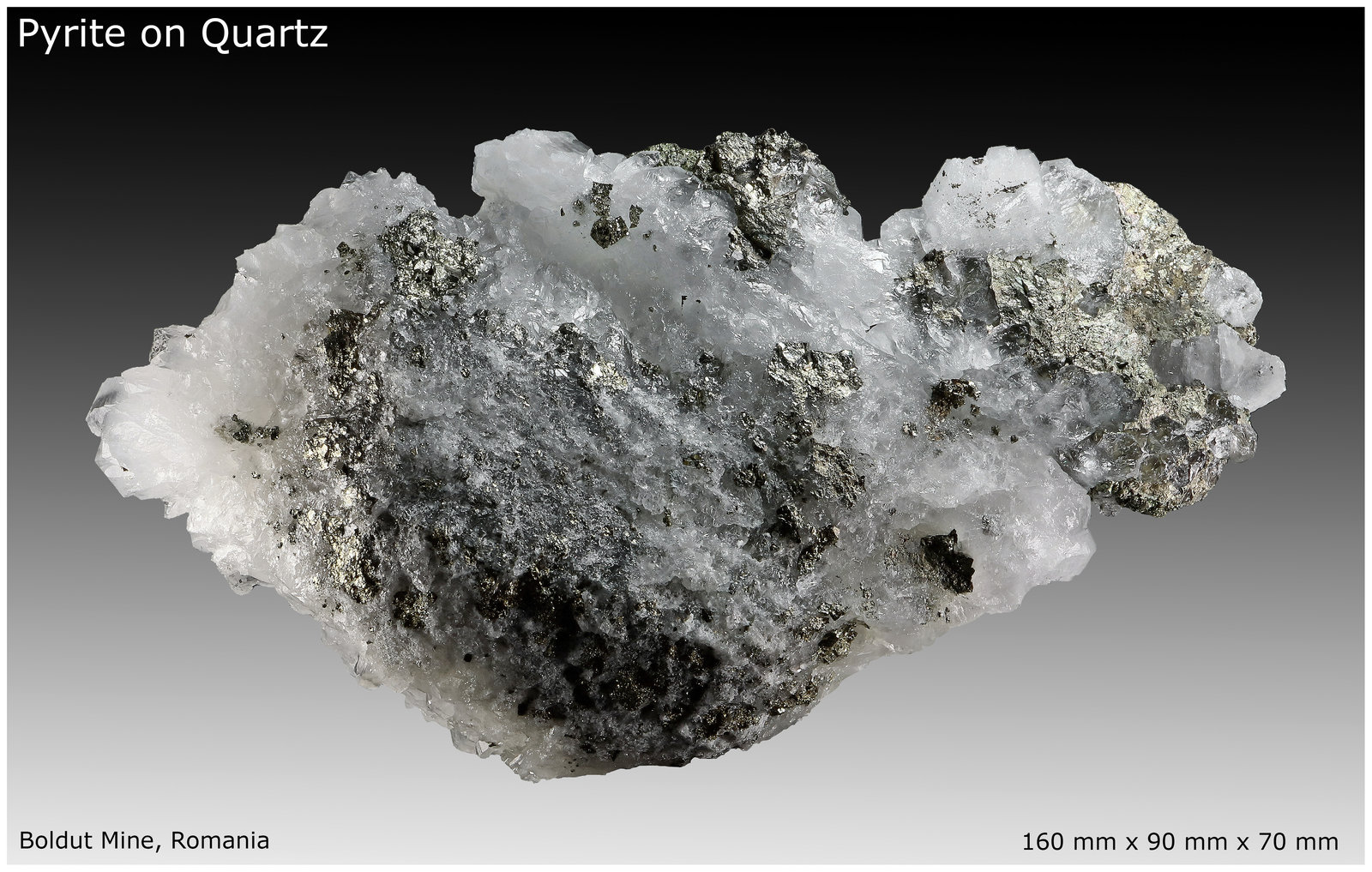 Pyrite, Quartz
160 mm x 90 mm x 70 mm
(Autor: silvia)