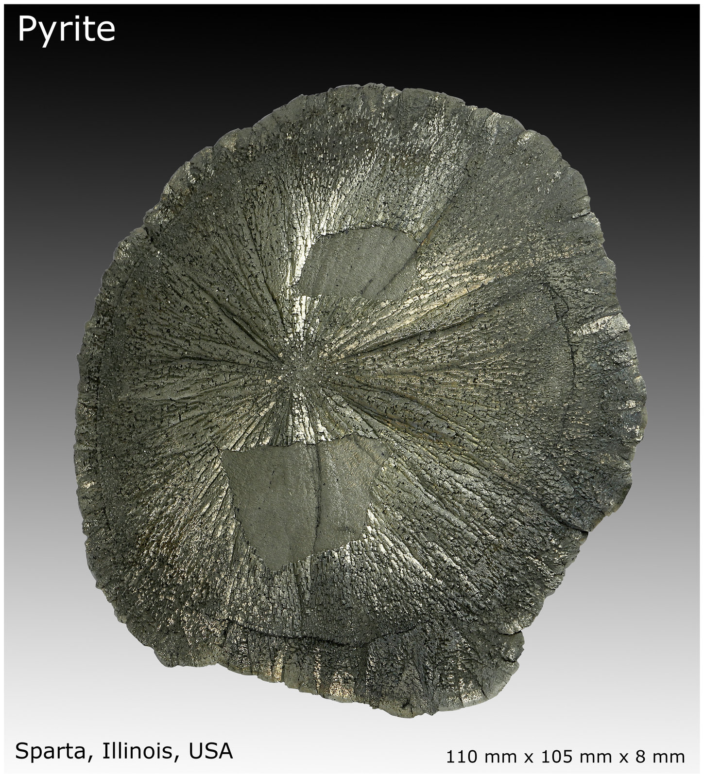 Pyrite
110 mm x 105 mm x 8 mm
(Autor: silvia)