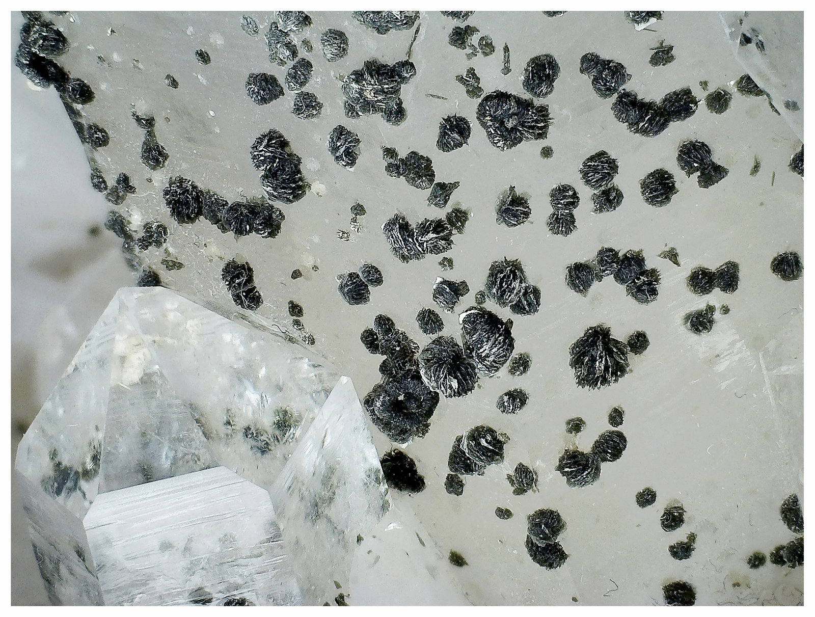 Quartz, Chlorite (Group)
22 cm x 16 cm x 9 cm
(Autor: silvia)
