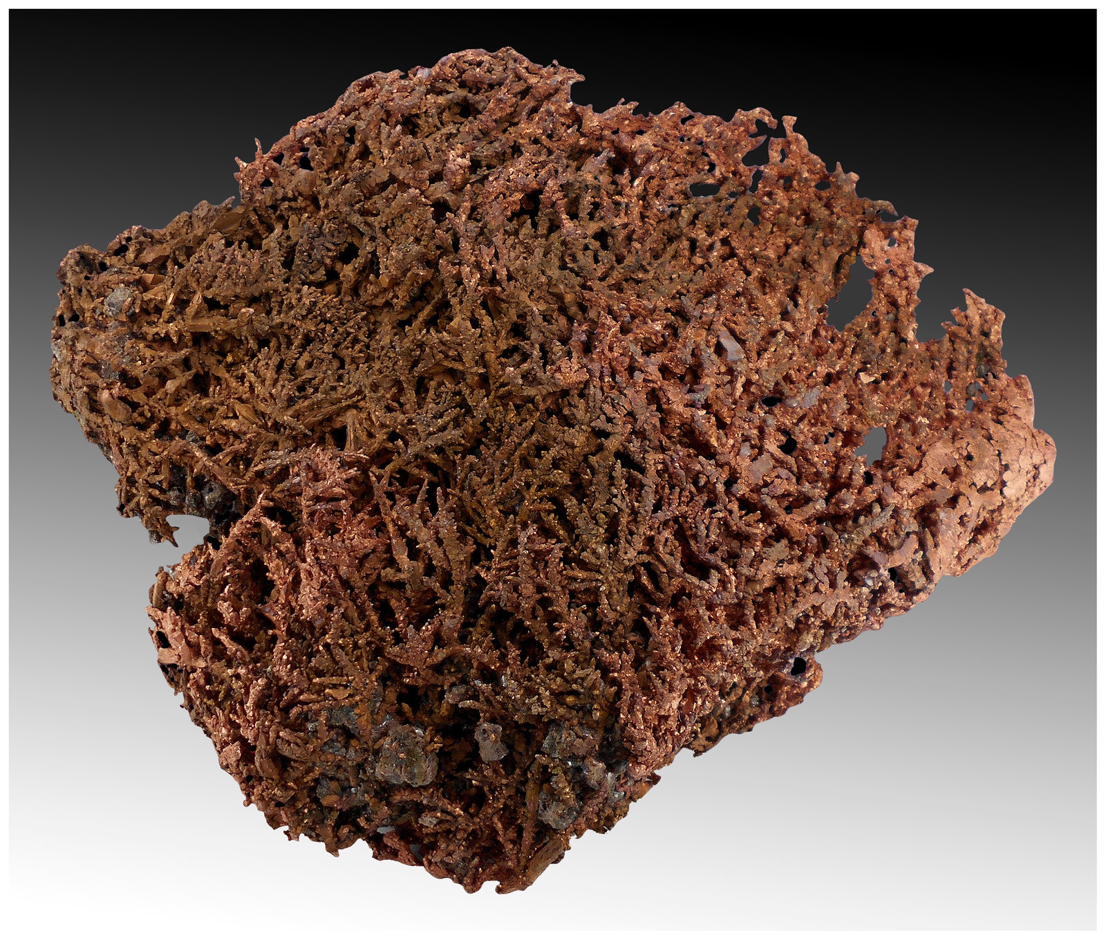 Copper
16 cm x 16 cm x 5 cm
(Autor: silvia)