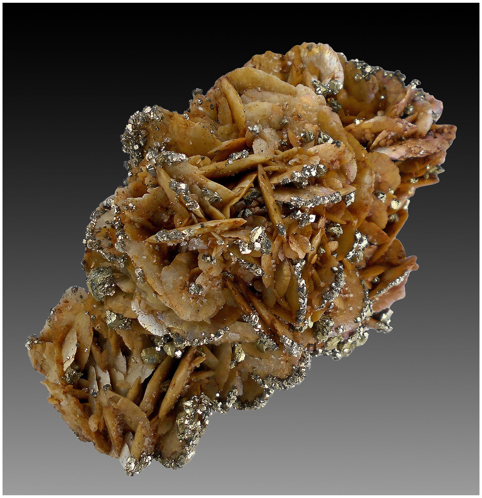 Siderite, Pyrite, Quartz
110 mm x 80 mm x 70 mm
(Autor: silvia)