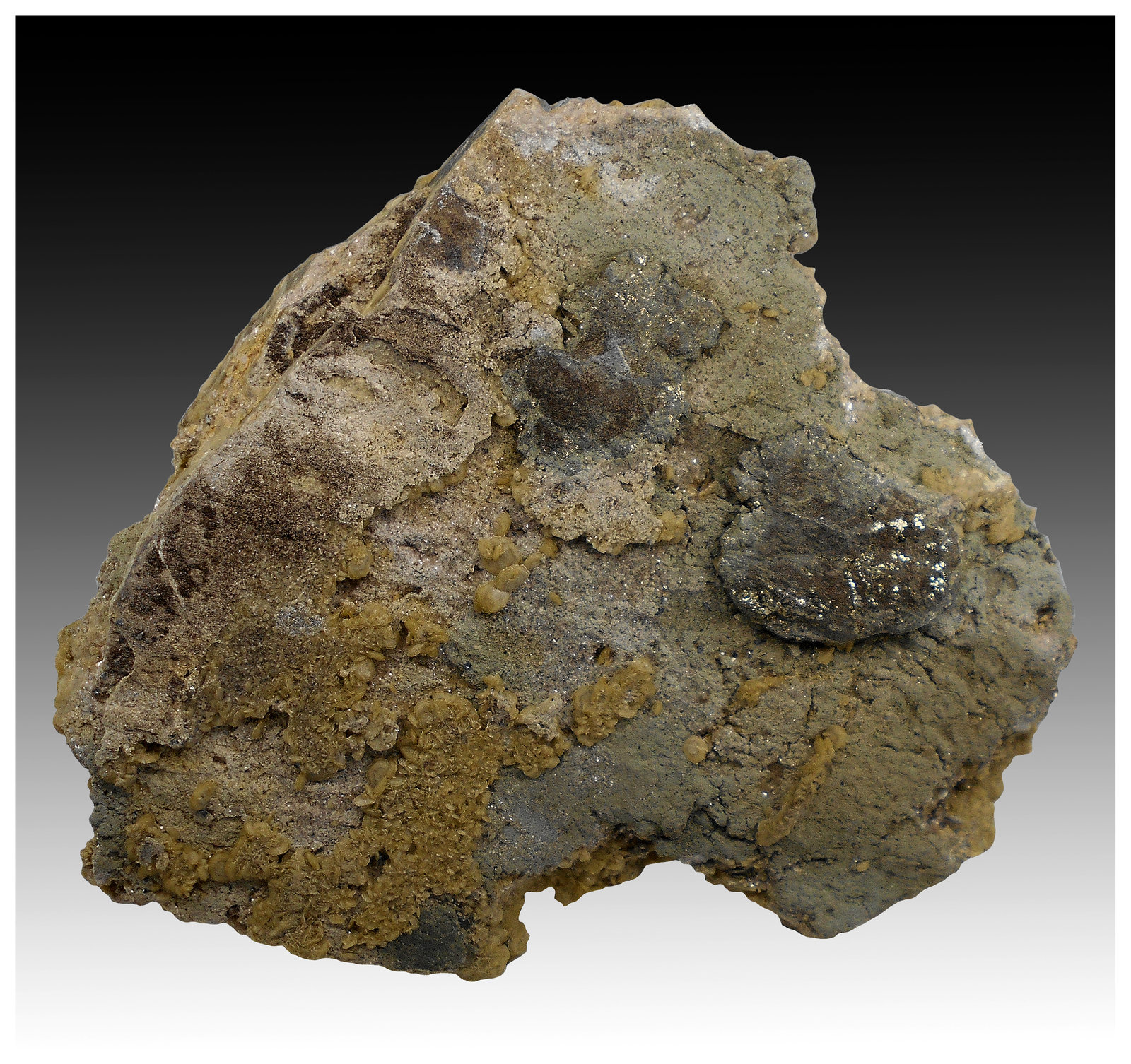 Siderite, Arsenopyrite, Pyrite
15 cm x 15 cm x 7 cm
(Autor: silvia)