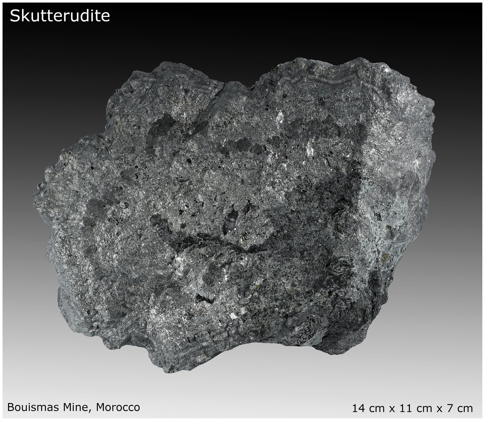 Skutterudite
140 mm x 110 mm x 70 mm
(Autor: silvia)