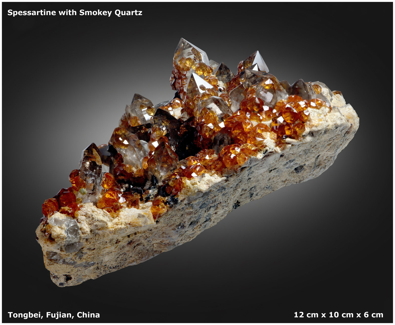 Spessartine and Smoky Quartz
12 cm x 10 cm x 6 cm
(Autor: silvia)