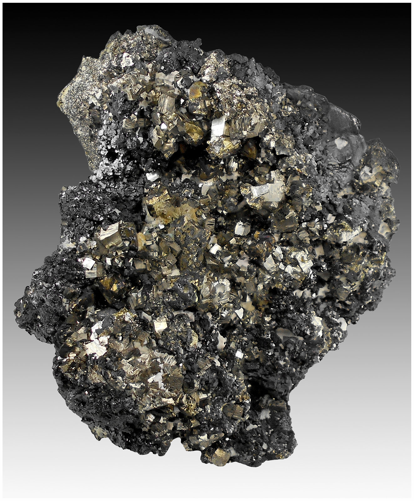 Chalcopyrite, Galena, Sphalerite and Pyrite
14 cm x 11 cm x 5 cm
(Autor: silvia)