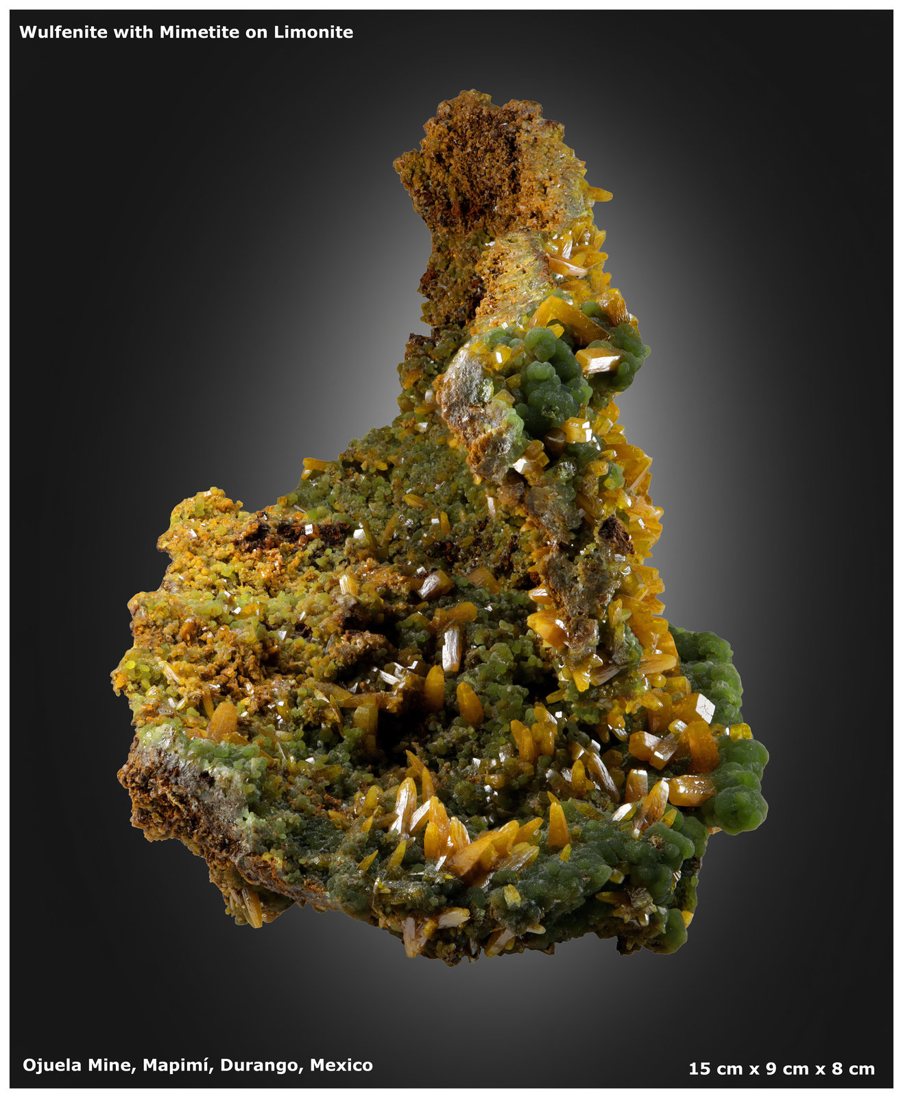 Wulfenite with Mimetite
15 cm x 9 cm x 8 cm
(Autor: silvia)