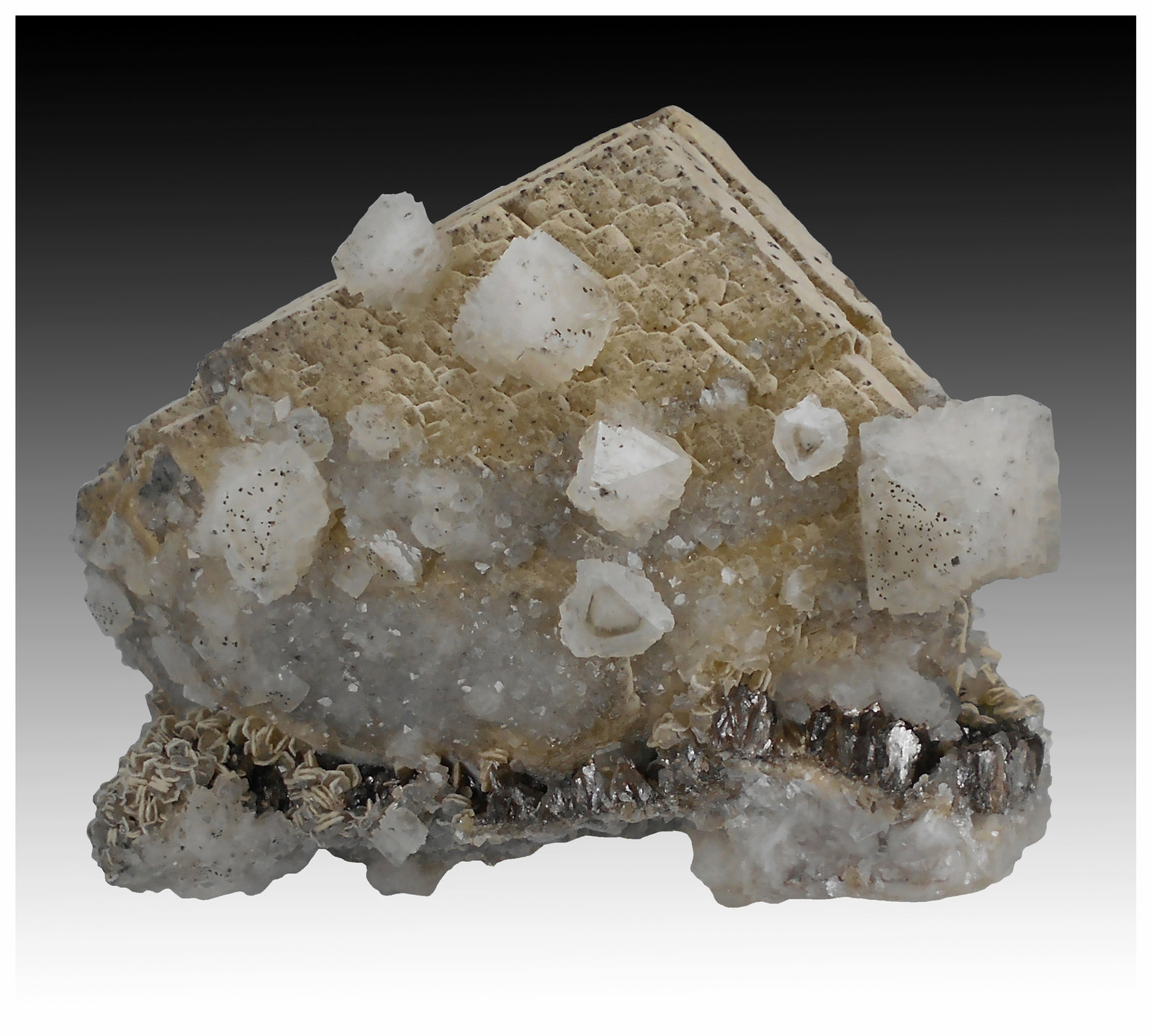Siderite, Quartz, Dolomite, Muscovite, Pyrite
11 cm x 8 cm x 7 cm
(Autor: silvia)