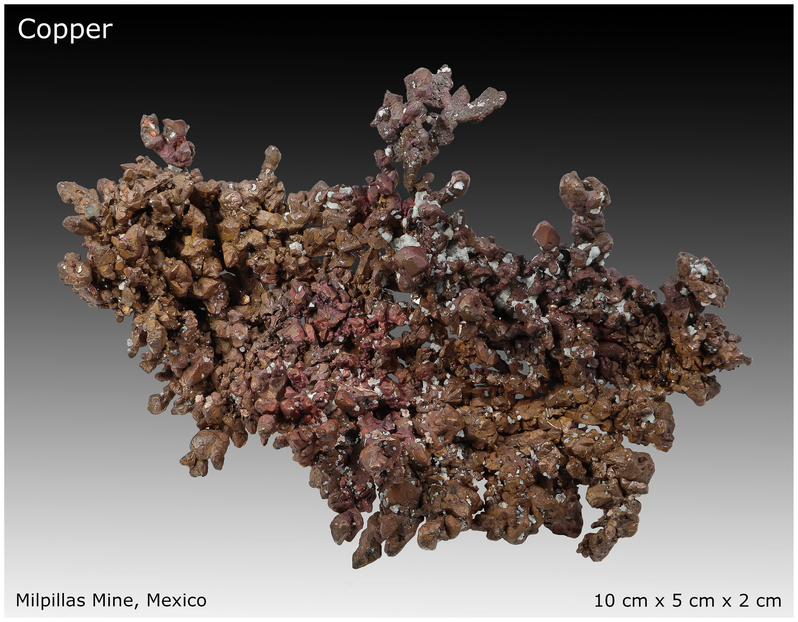 Native Copper
10 cm x 5 cm x 2 cm
(Autor: silvia)