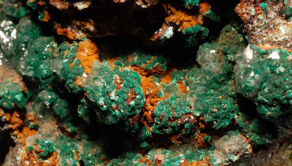 Conichalcite over Austinite
(Autor: Michael Shaw)