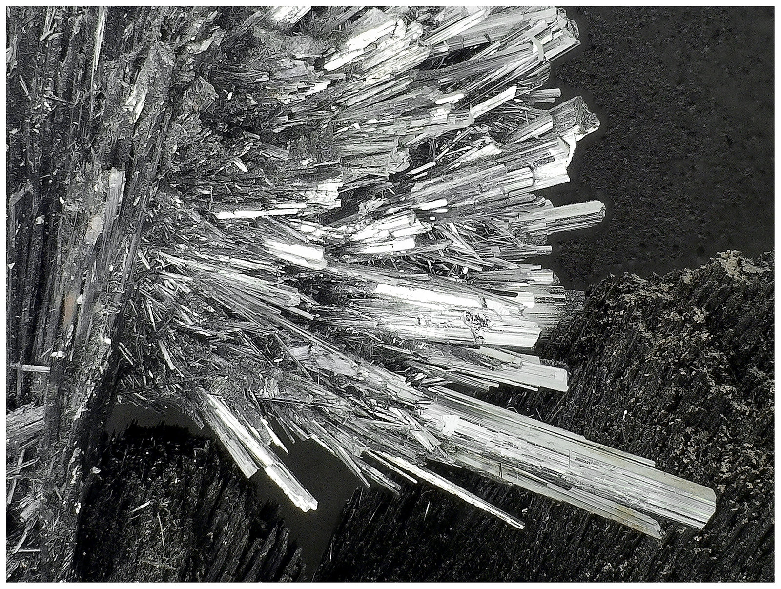 Berthierite, Stibnite, Tetrahedrite
16 cm x 14 cm x 7 cm
(Autor: silvia)