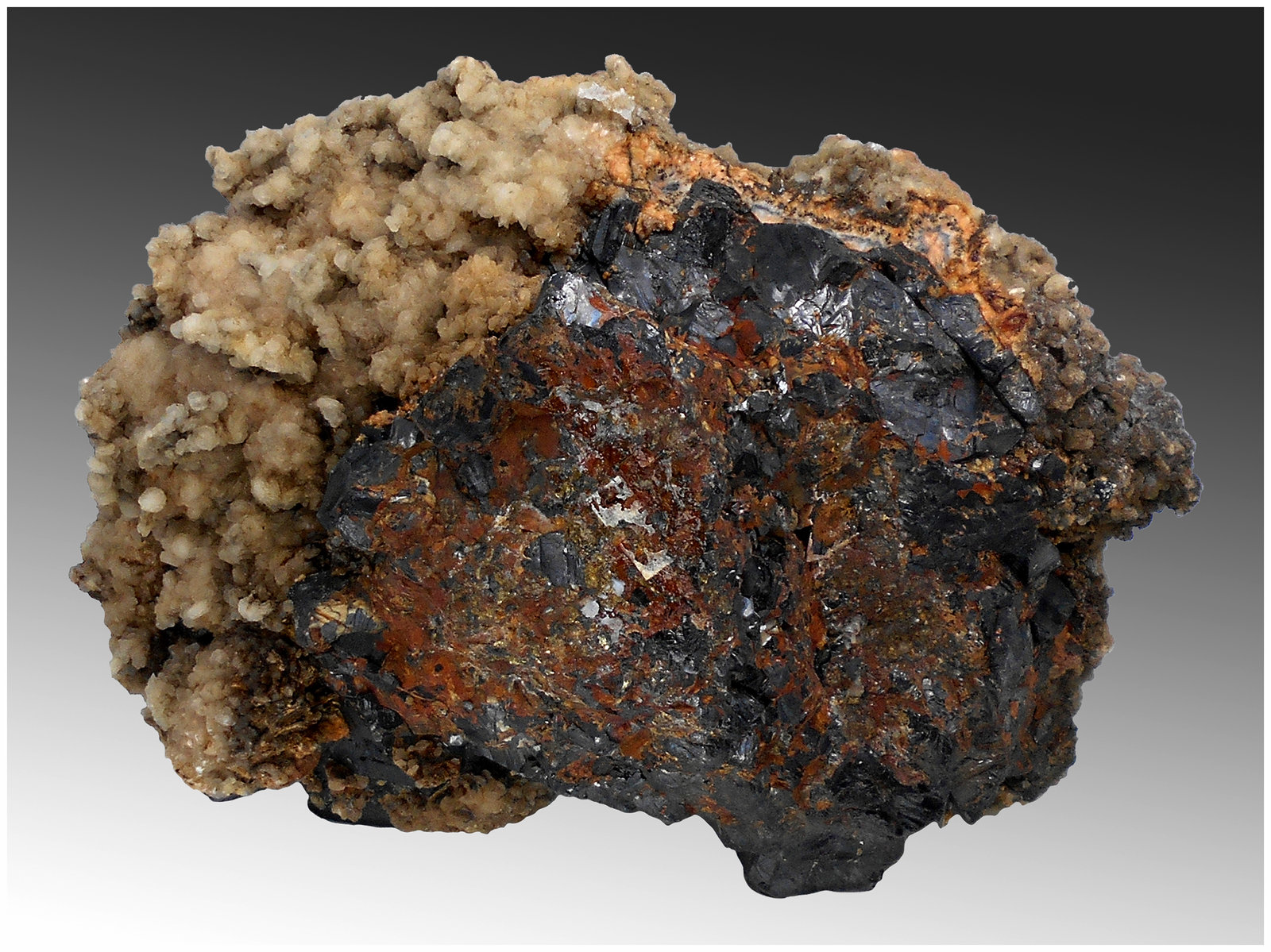 Sphalerite with Calcite
12 cm x 9 cm x 8 cm
(Autor: silvia)