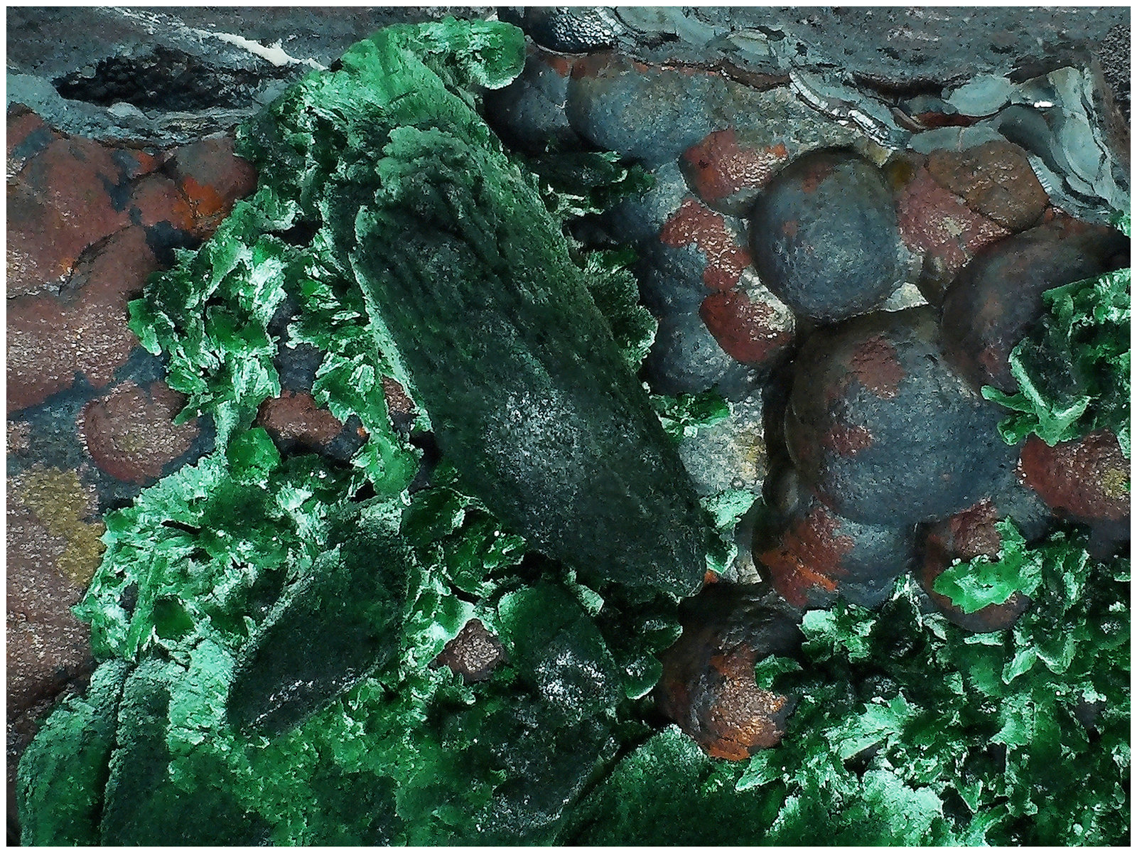 Malachite after Azurite on Goethite
13 cm x 7 cm x 4 cm
(Autor: silvia)