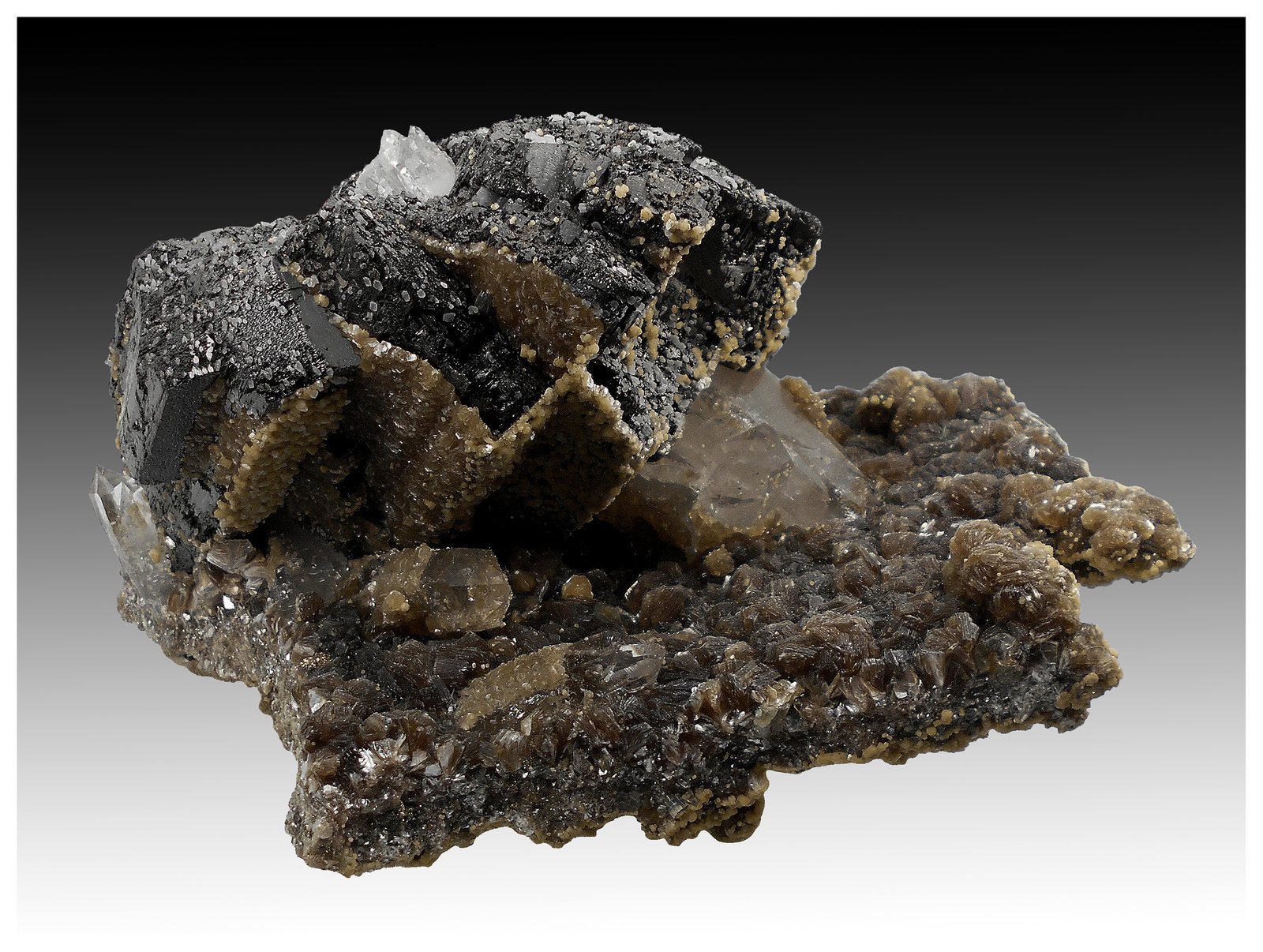 Ferberite, Quartz, Muscovite, Siderite
16 cm x 14 cm x 10 cm
(Autor: silvia)