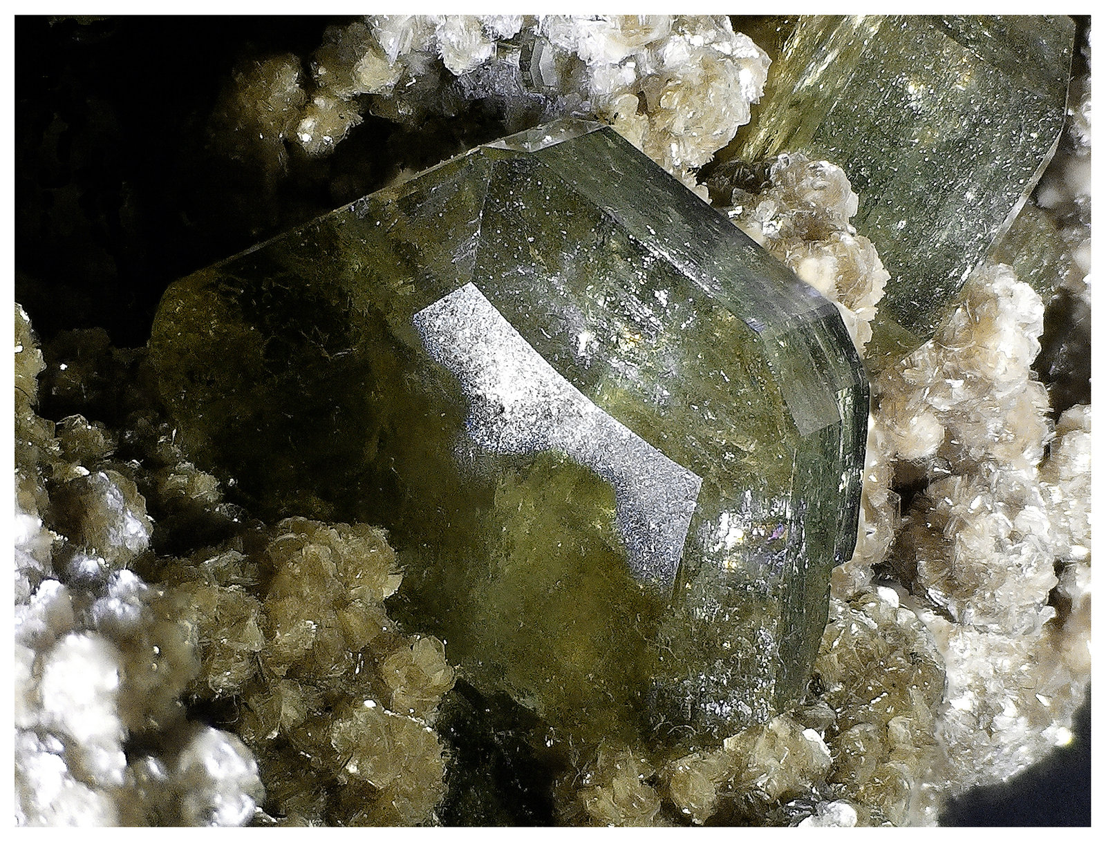 Fluorapatite, Muscovite
11 cm x 6 cm x 5 cm
(Autor: silvia)