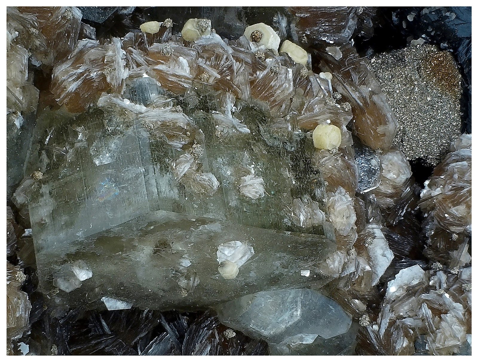 Fluorapatite, Sphalerite, Quartz, Muscovite, Siderite
14 cm x 12 cm x 7 cm
(Autor: silvia)