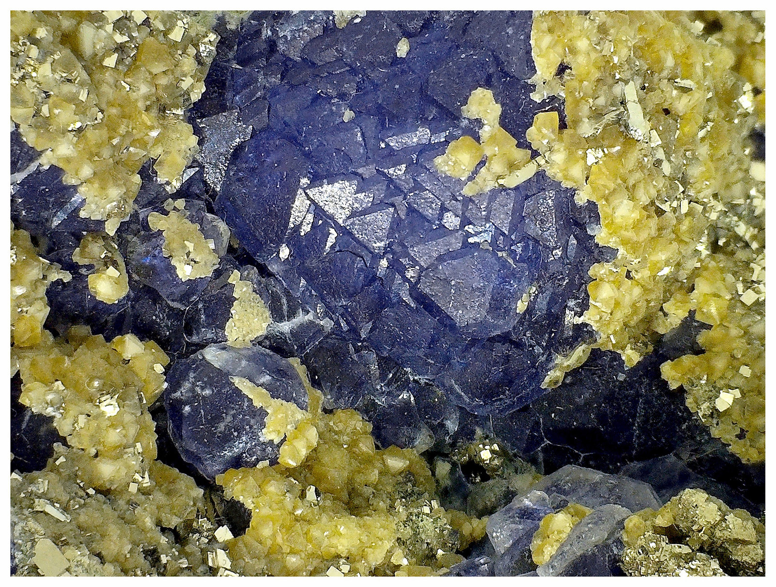 Fluorite, Siderite, Pyrite
8 cm x 6 cm x 4 cm
(Autor: silvia)