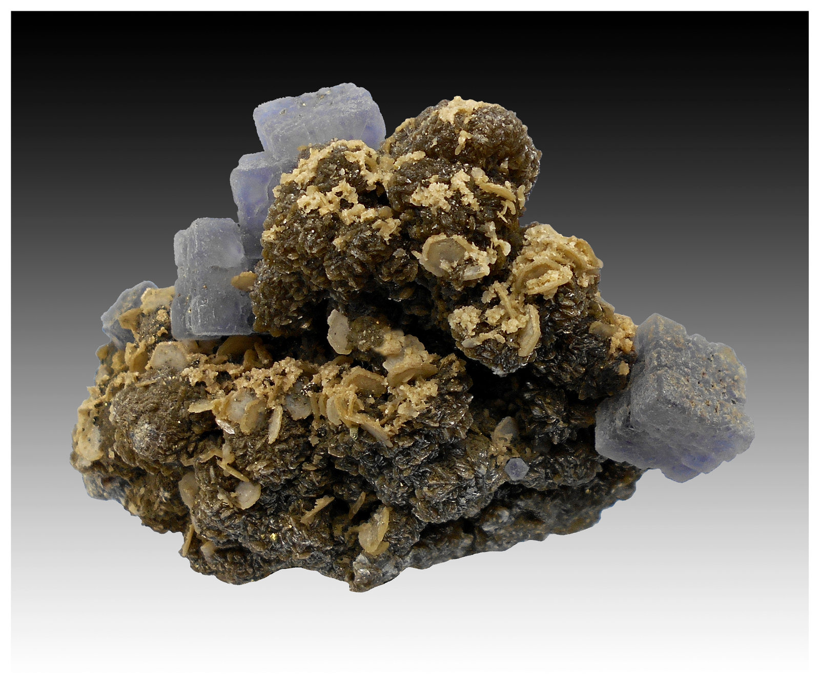 Fluorite, Fluorapatite, Siderite, Muscovite and Pyrite
9 cm x 8 cm x 6 cm
(Autor: silvia)