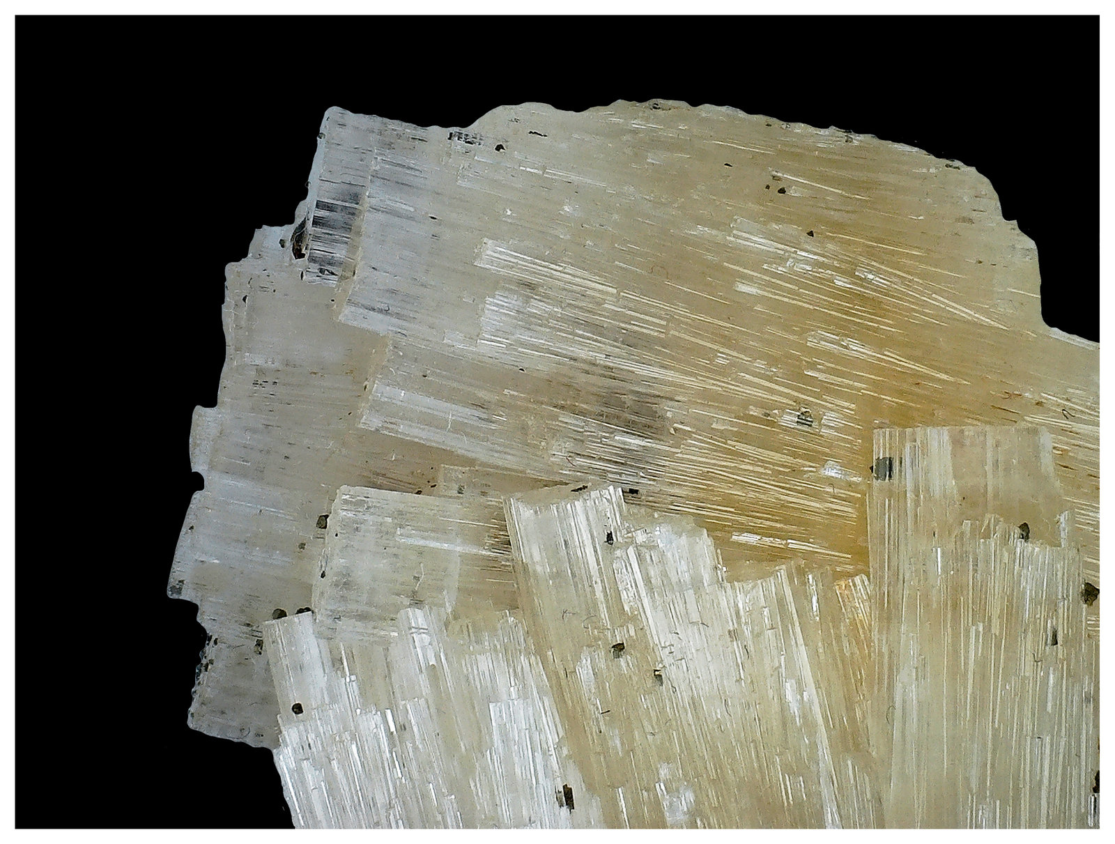 Fluorapatite, Topaz, Goyazite, Muscovite
4 cm x 3 cm x 3 cm
(Autor: silvia)