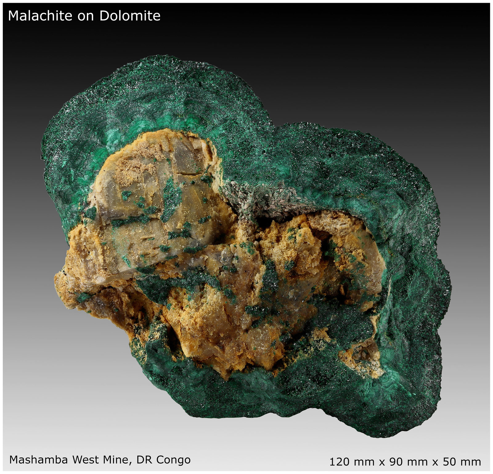 Malachite on Dolomite
120 mm x 90 mm x 50 mm
(Autor: silvia)