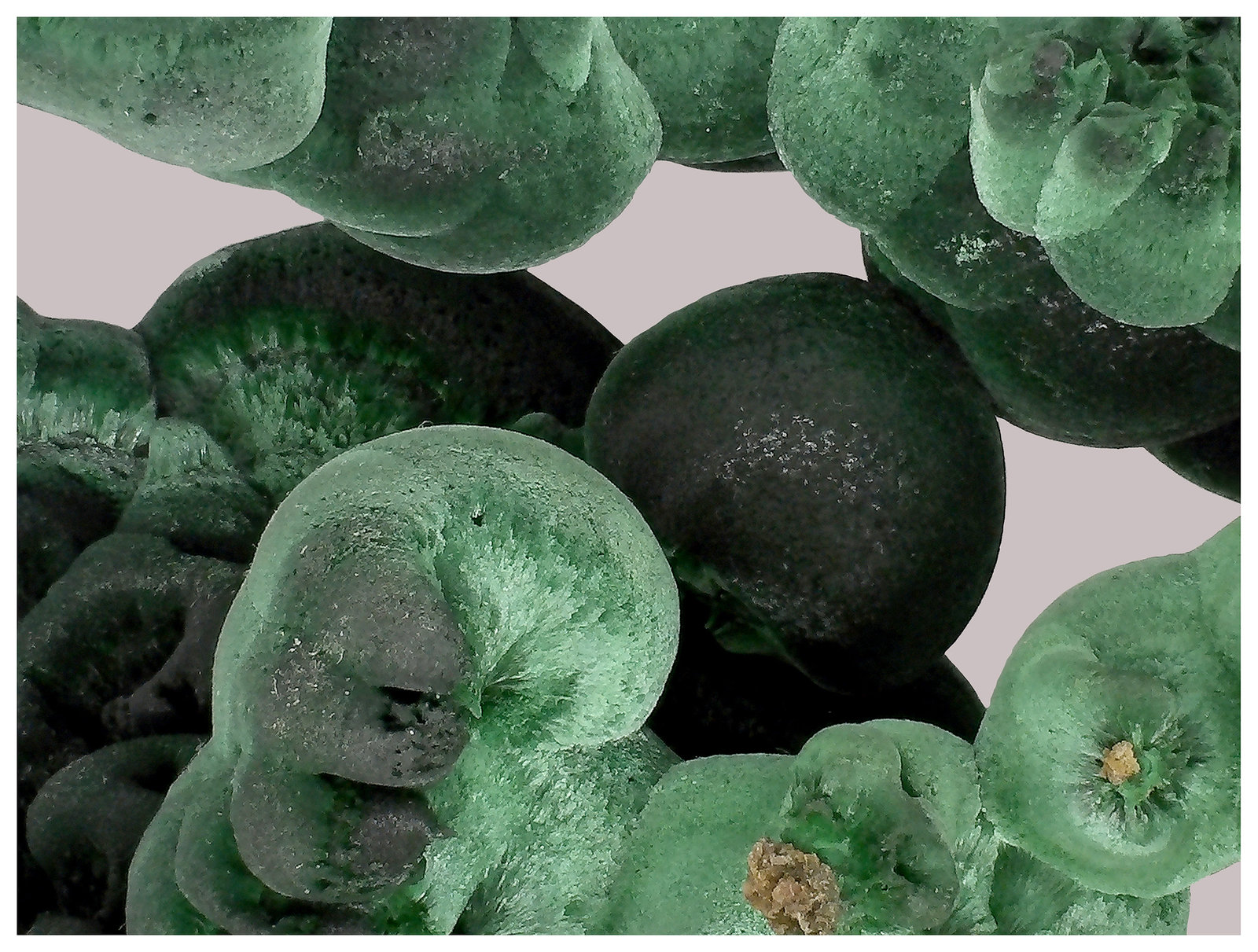 Malachite
15 cm x 12 cm x 5 cm
(Autor: silvia)