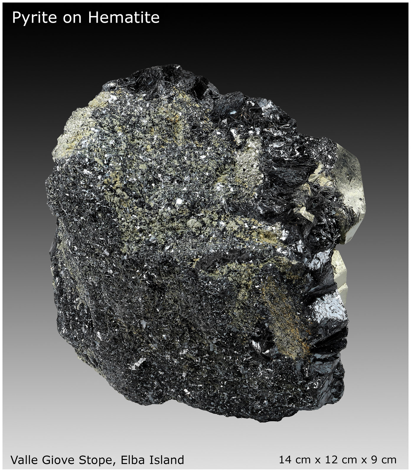Pyrite on Hematite
14 cm x 12 cm x 9 cm
(Autor: silvia)