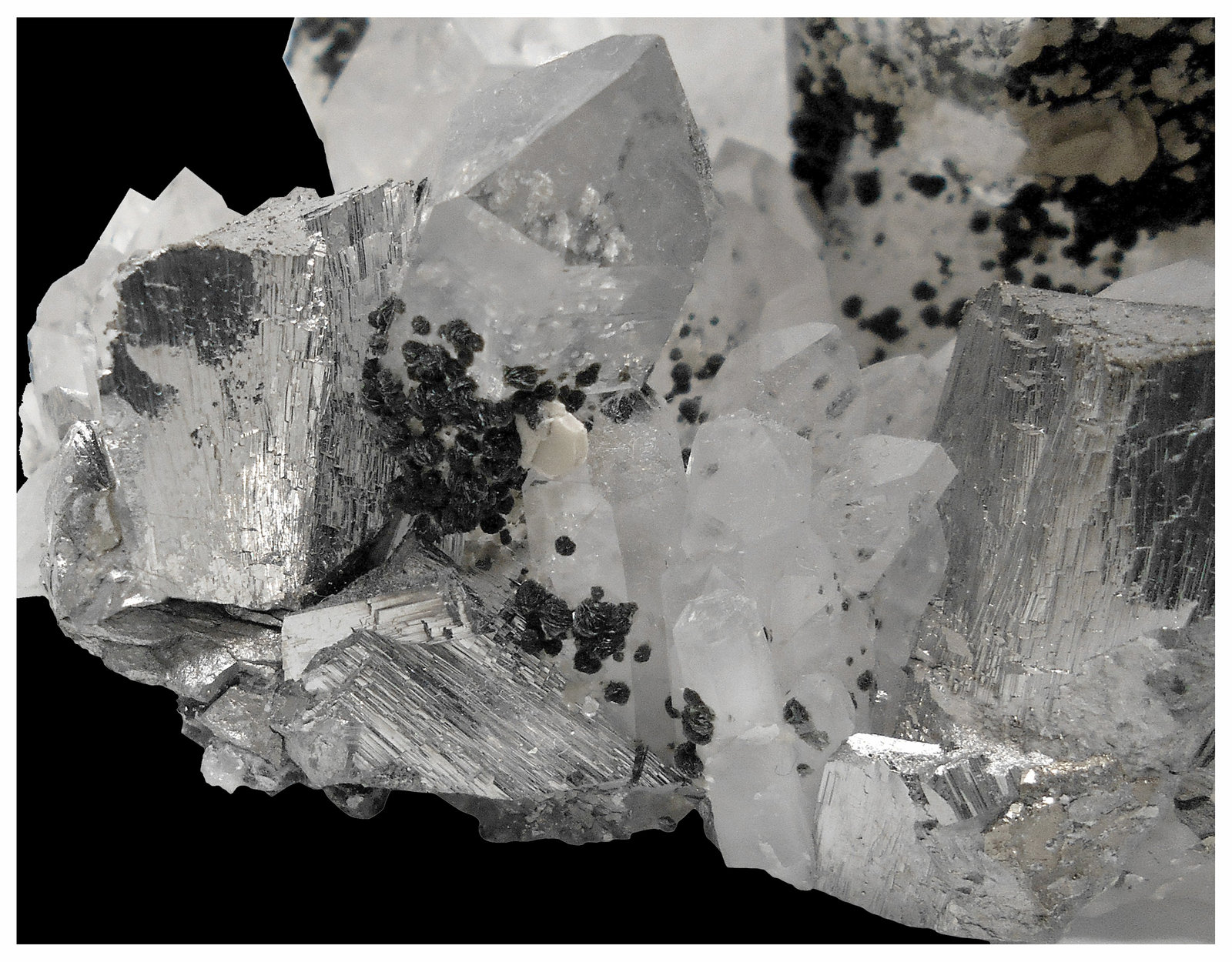 Quartz, Arsenopyrite and Chlorite (Group)
22 cm x 16 cm x 9 cm
(Autor: silvia)